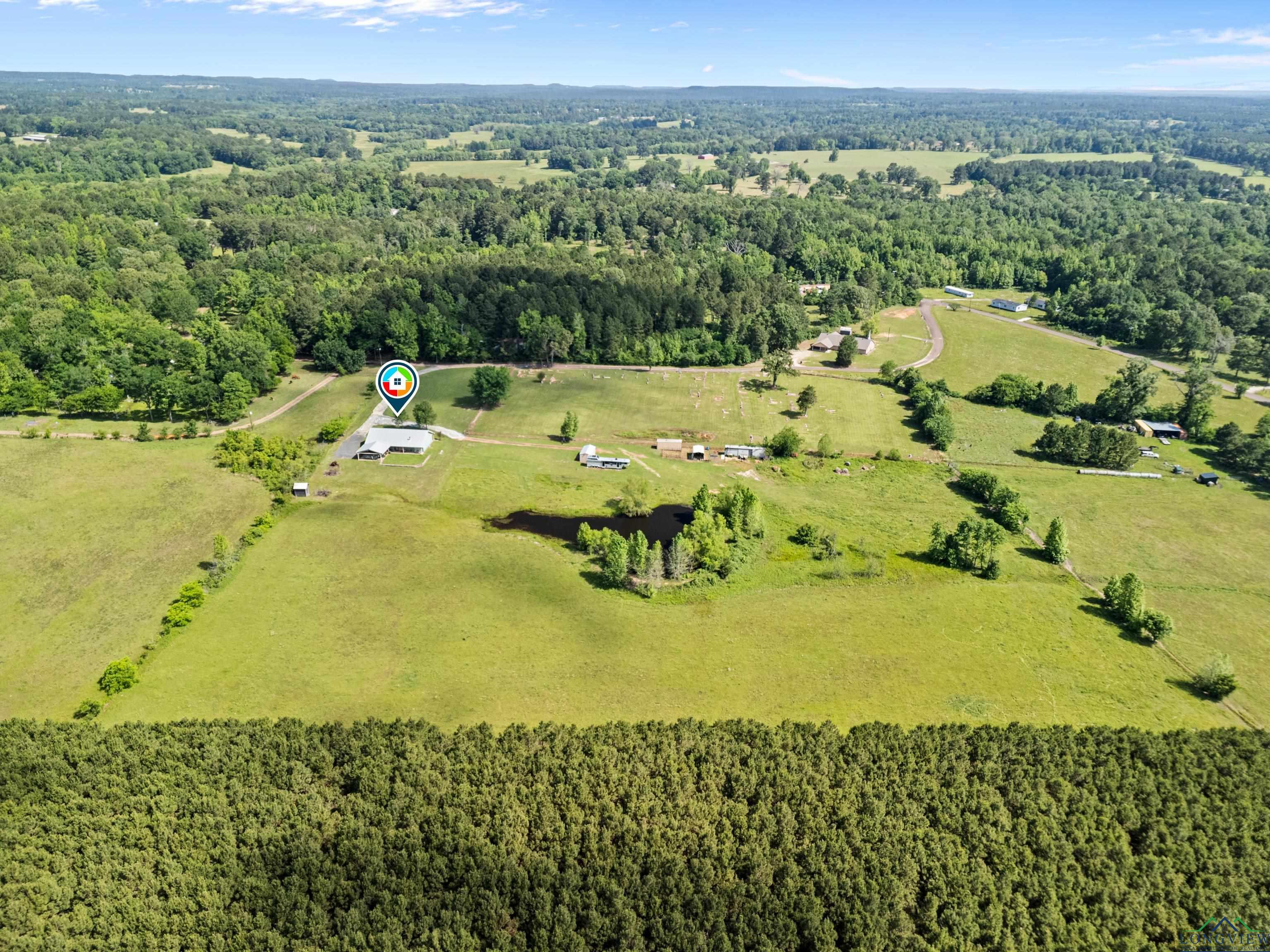 8550 New Hope Rd, Gilmer, Texas image 6