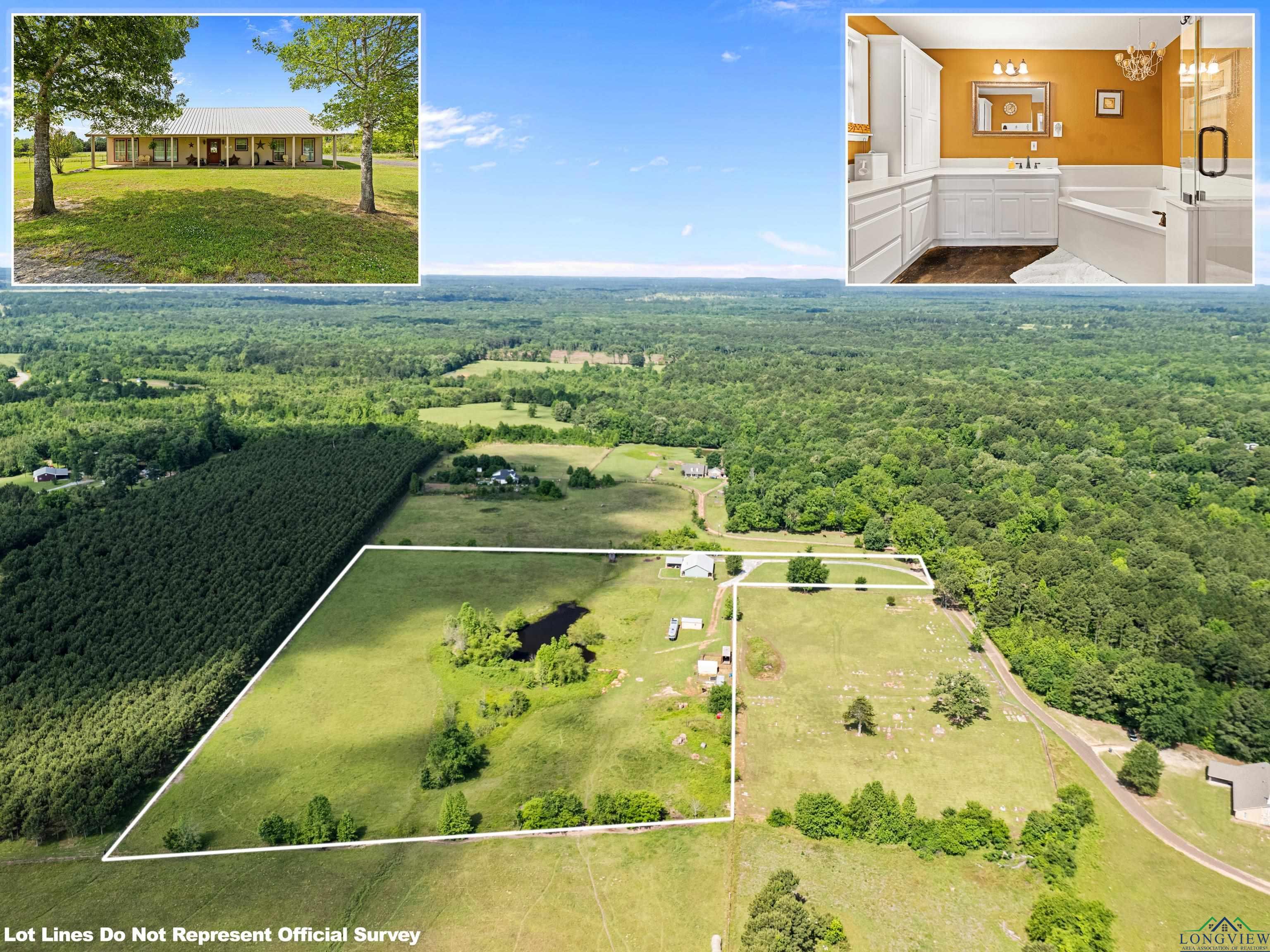 8550 New Hope Rd, Gilmer, Texas image 2