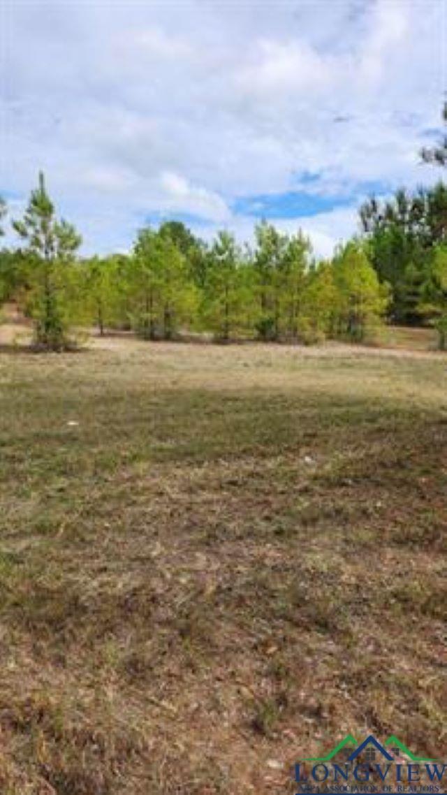 Tbd Hwy 67, Naples, Texas image 1