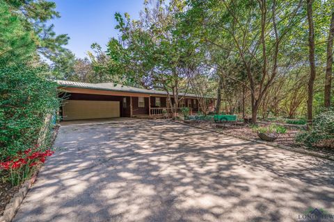 Homes For Sale - 13731 Shamrock Rd<br/> Upshur County, Diana, TX 75640