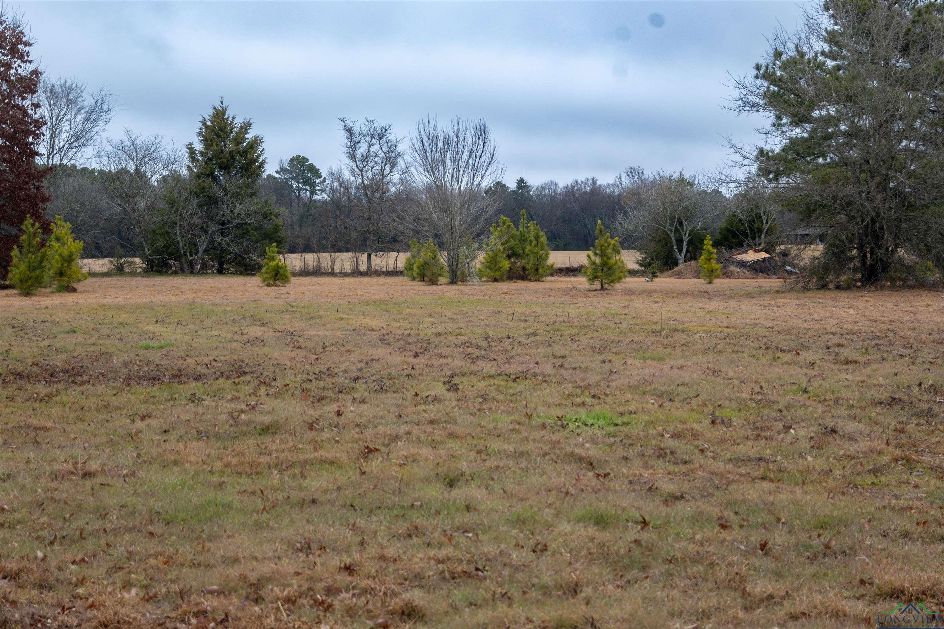 TBD Cr 3271, Mineola, Texas image 4