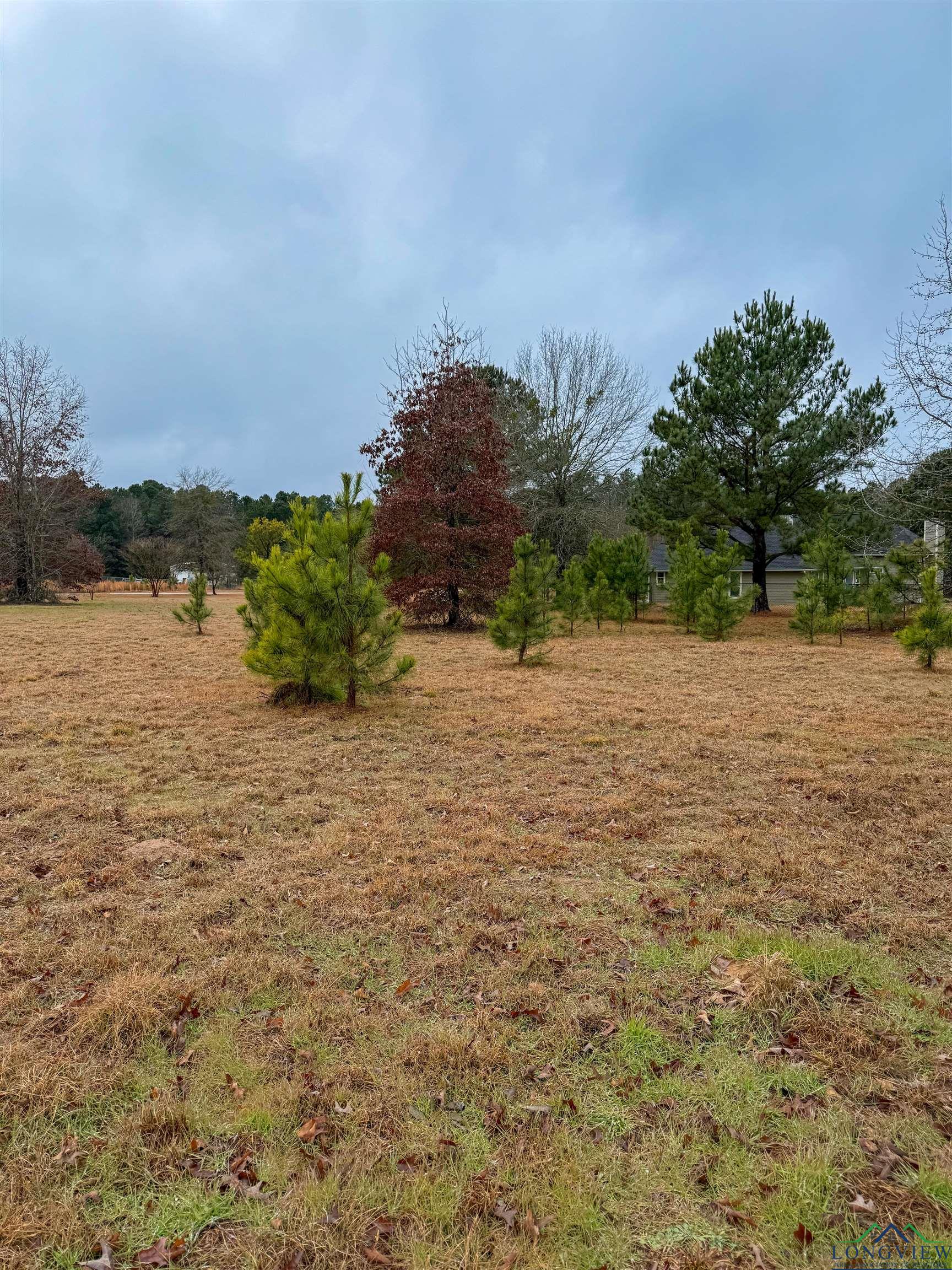 TBD Cr 3271, Mineola, Texas image 11