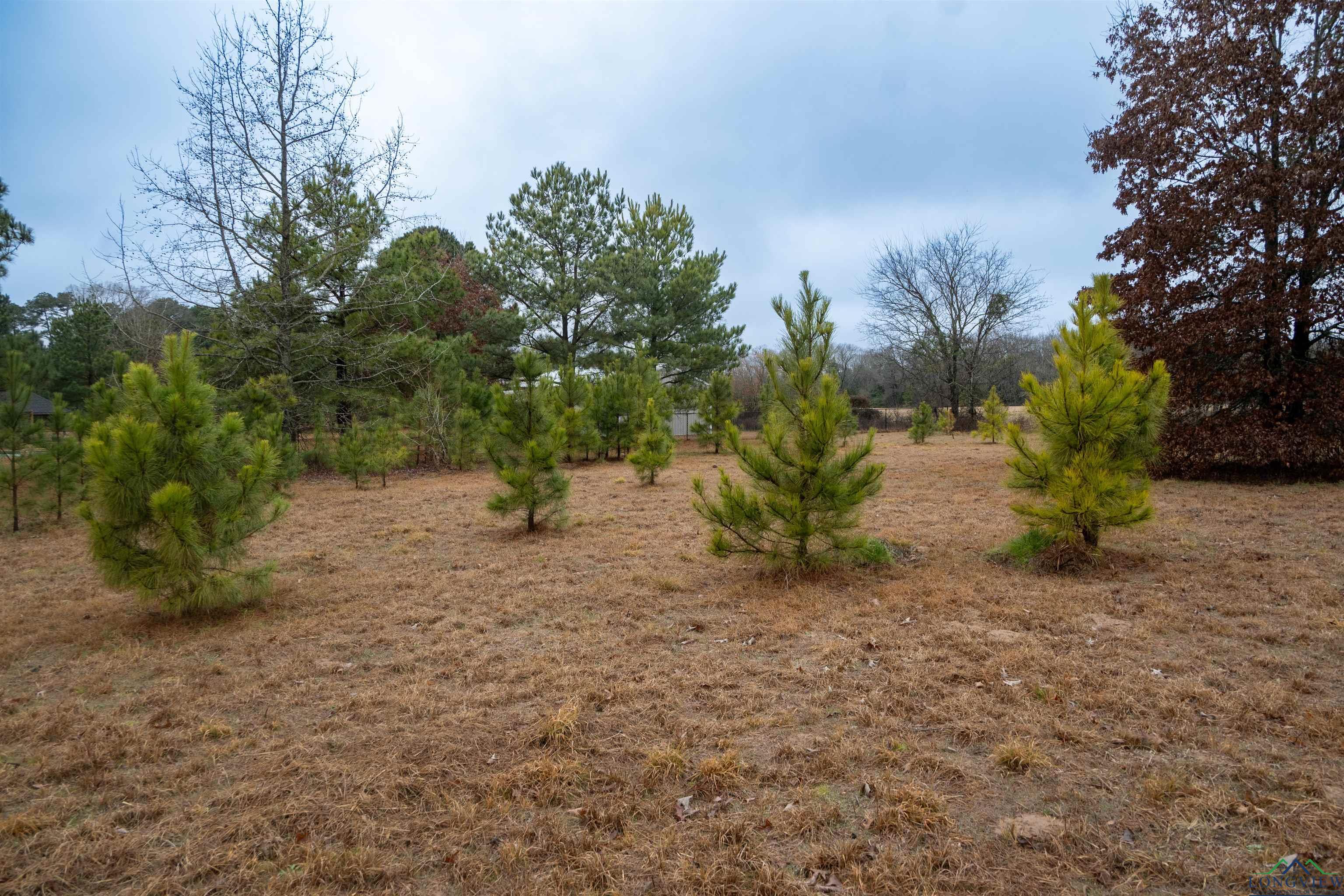 TBD Cr 3271, Mineola, Texas image 6