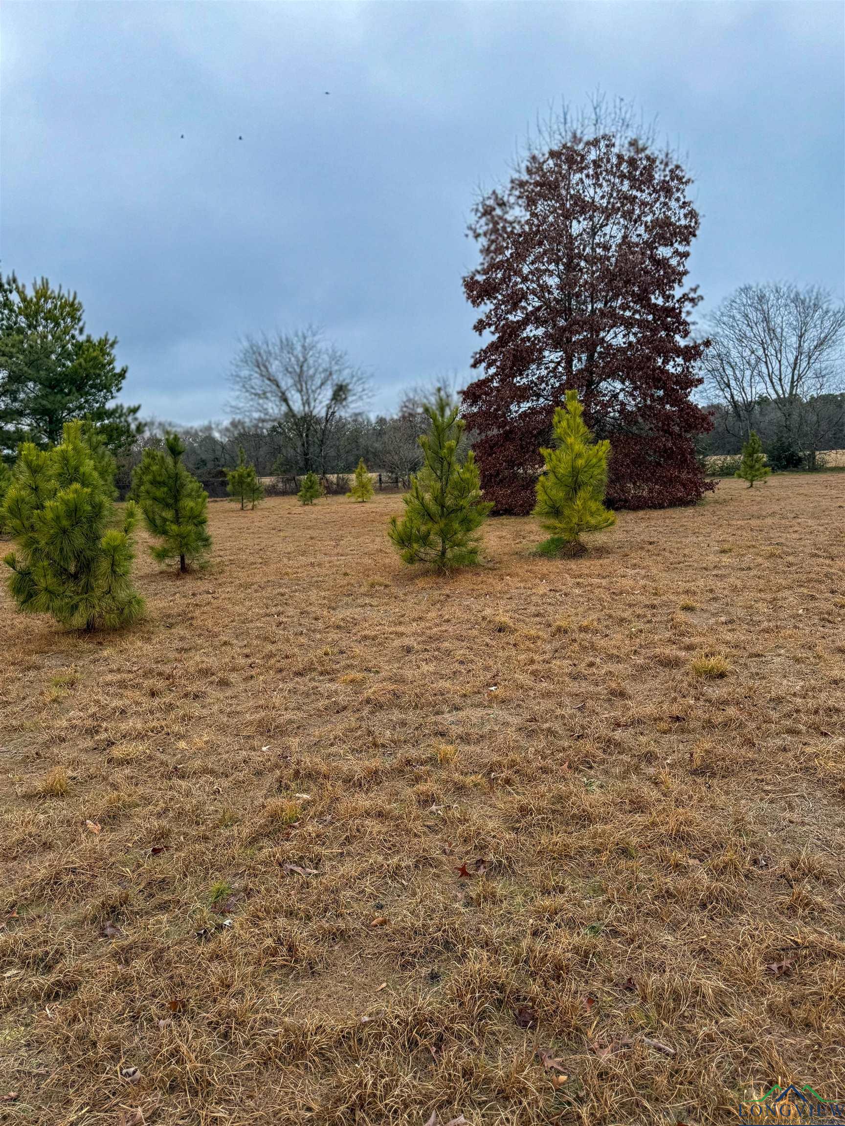 TBD Cr 3271, Mineola, Texas image 10