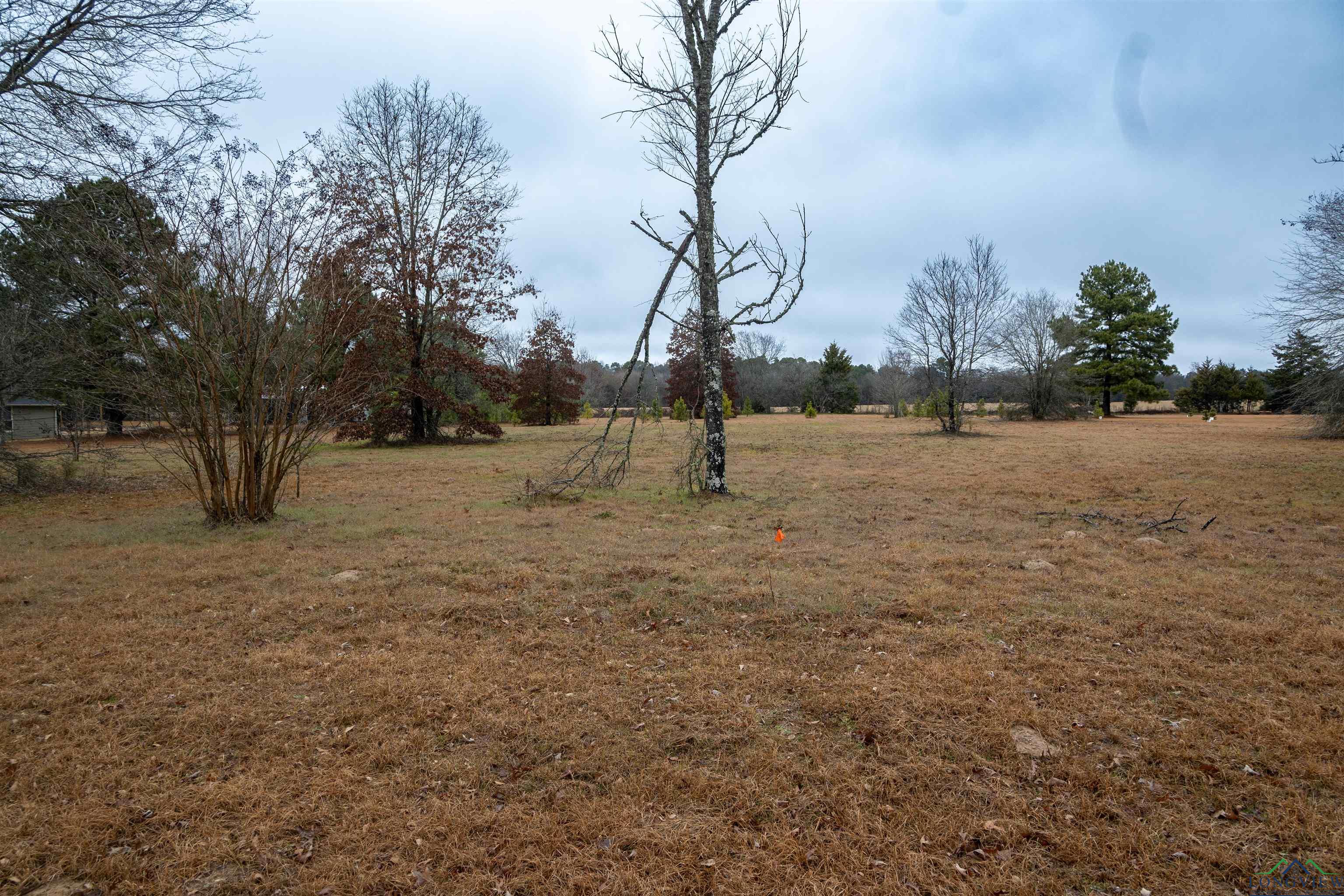 TBD Cr 3271, Mineola, Texas image 2