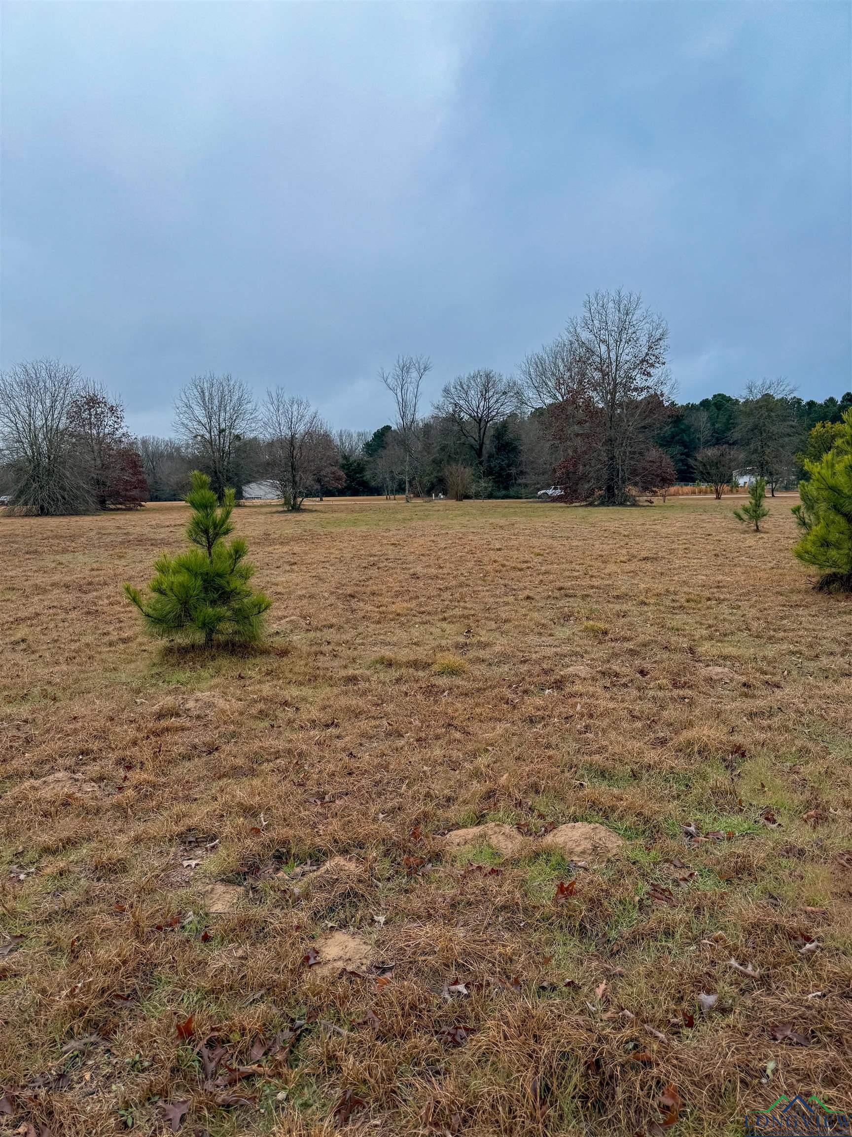 TBD Cr 3271, Mineola, Texas image 14