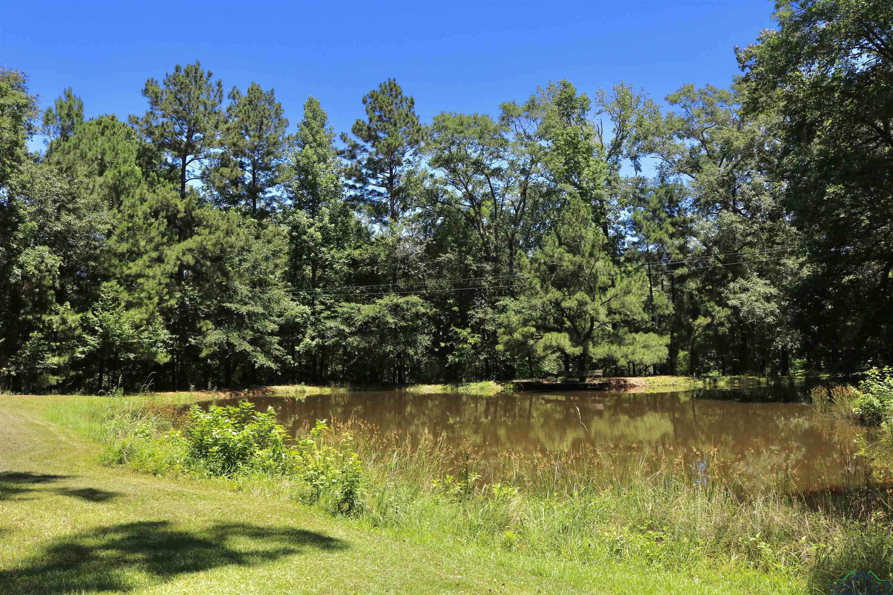 1 Bluebird Circle, White Oak, Texas image 40