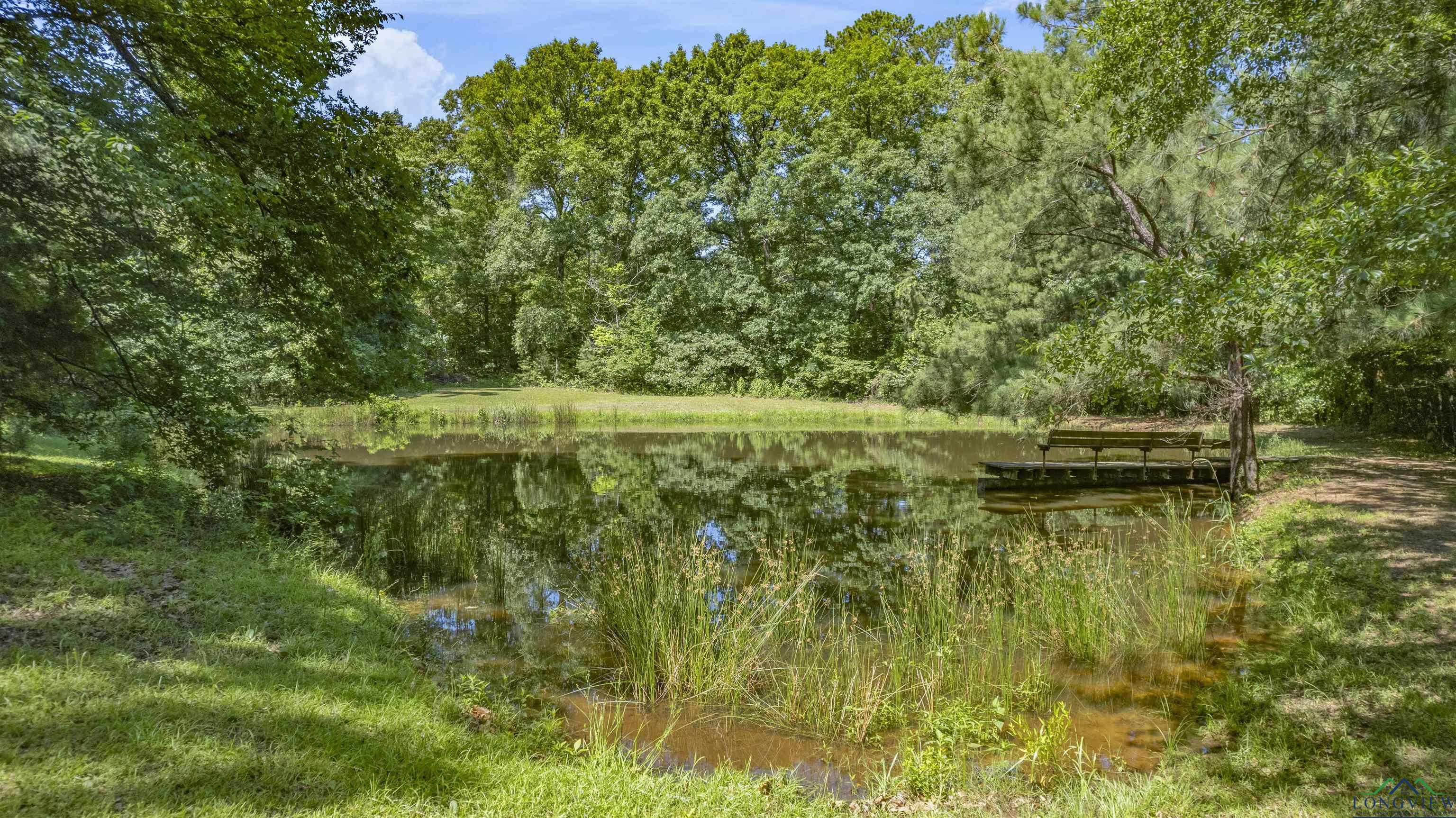 1 Bluebird Circle, White Oak, Texas image 38