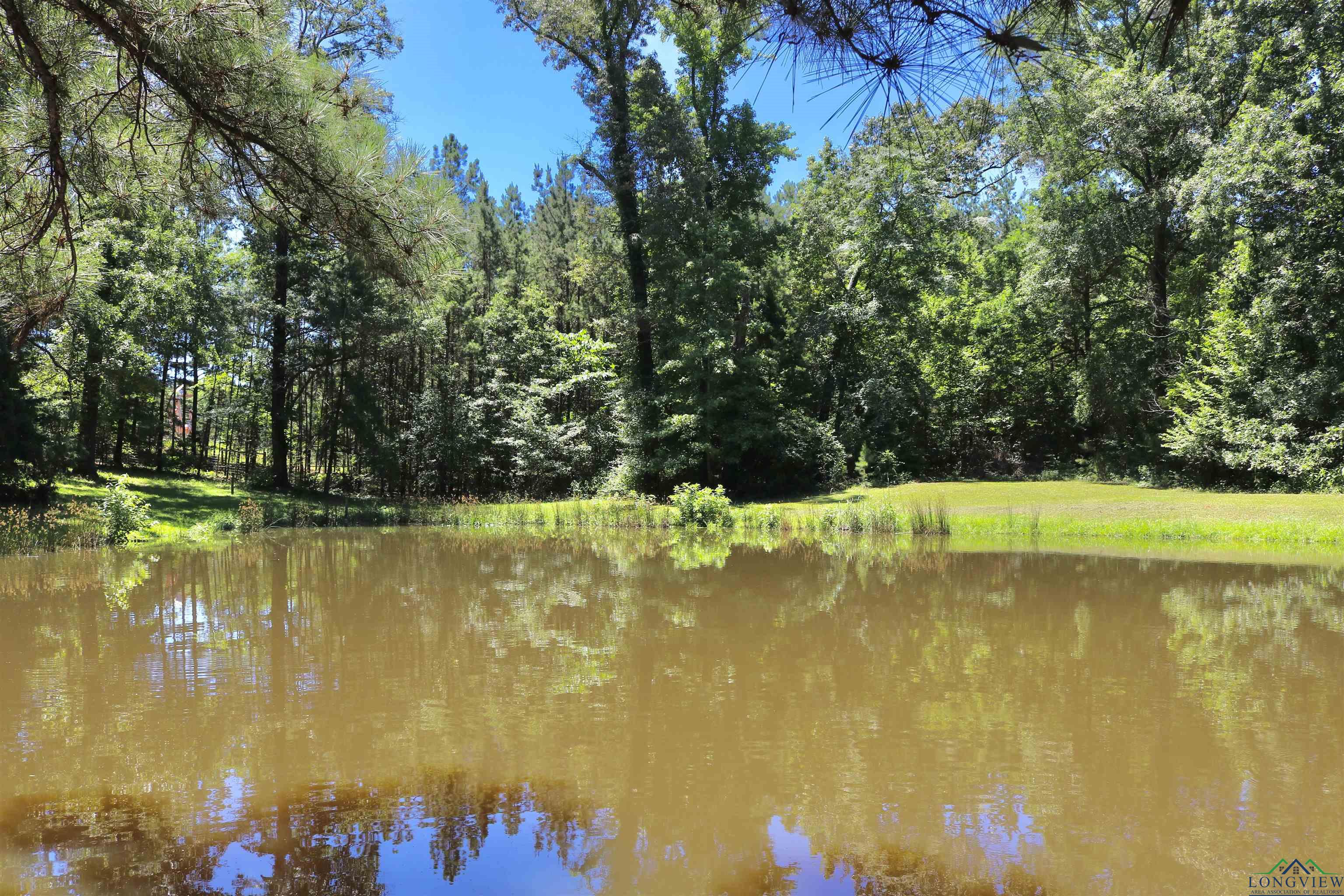 1 Bluebird Circle, White Oak, Texas image 39