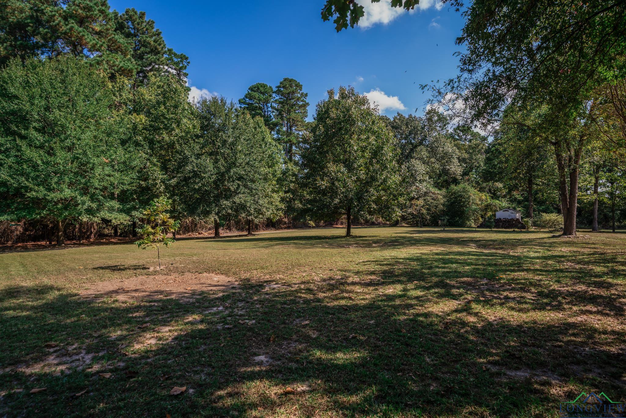 212 Peachtree Ln, Big Sandy, Texas image 47