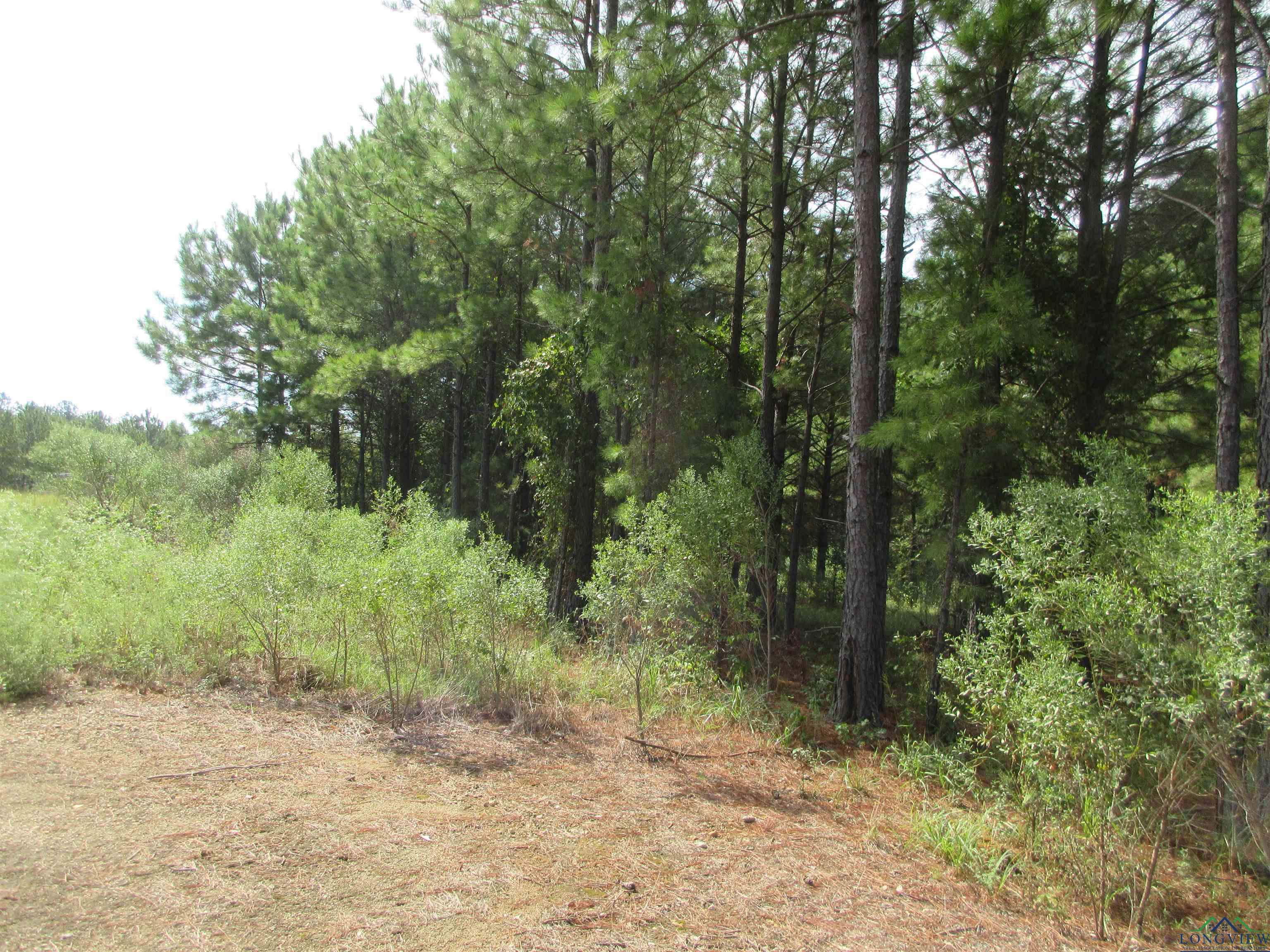 TBD George Richey, Longview, Texas image 13