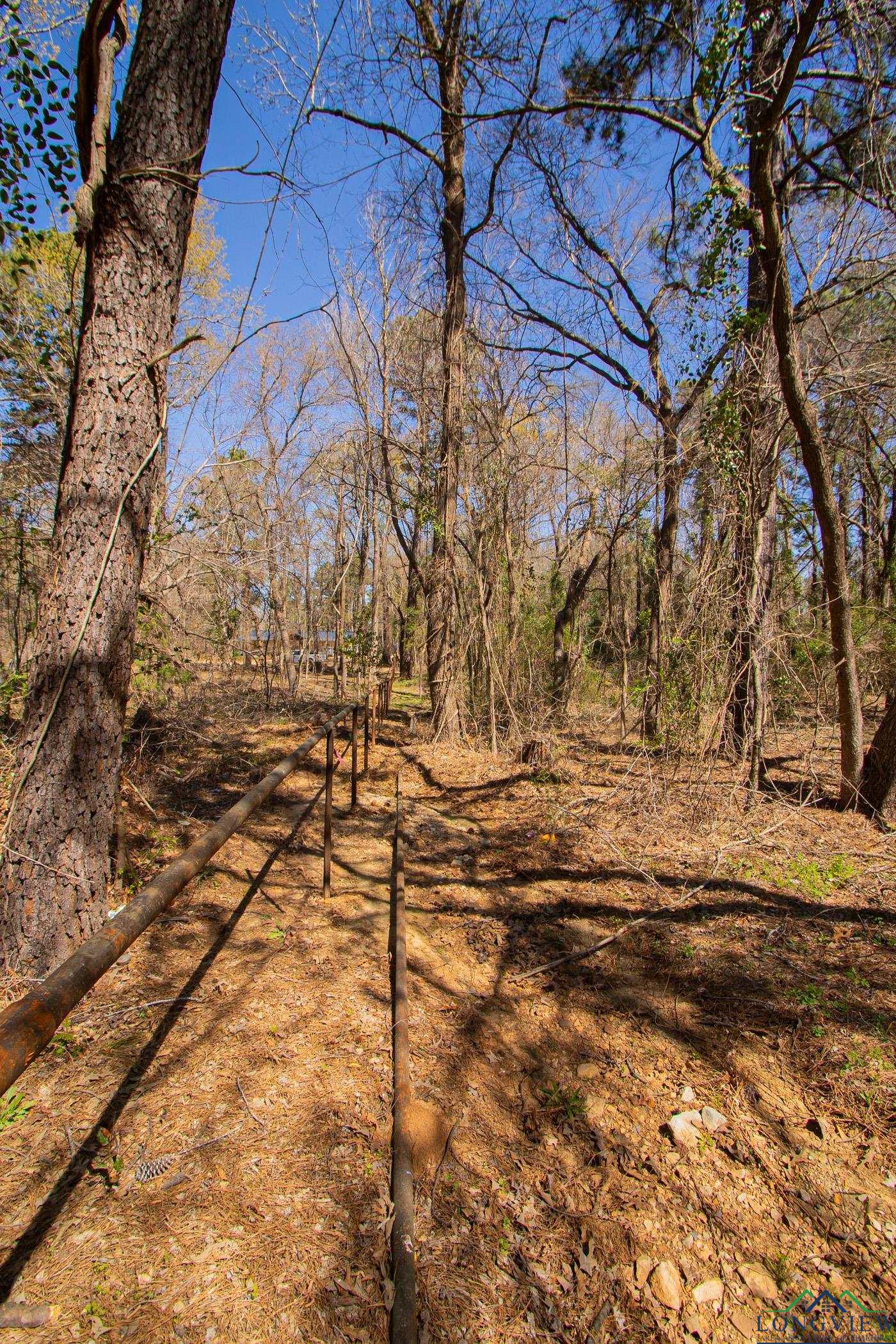 TBD Peavine Rd, Kilgore, Texas image 6