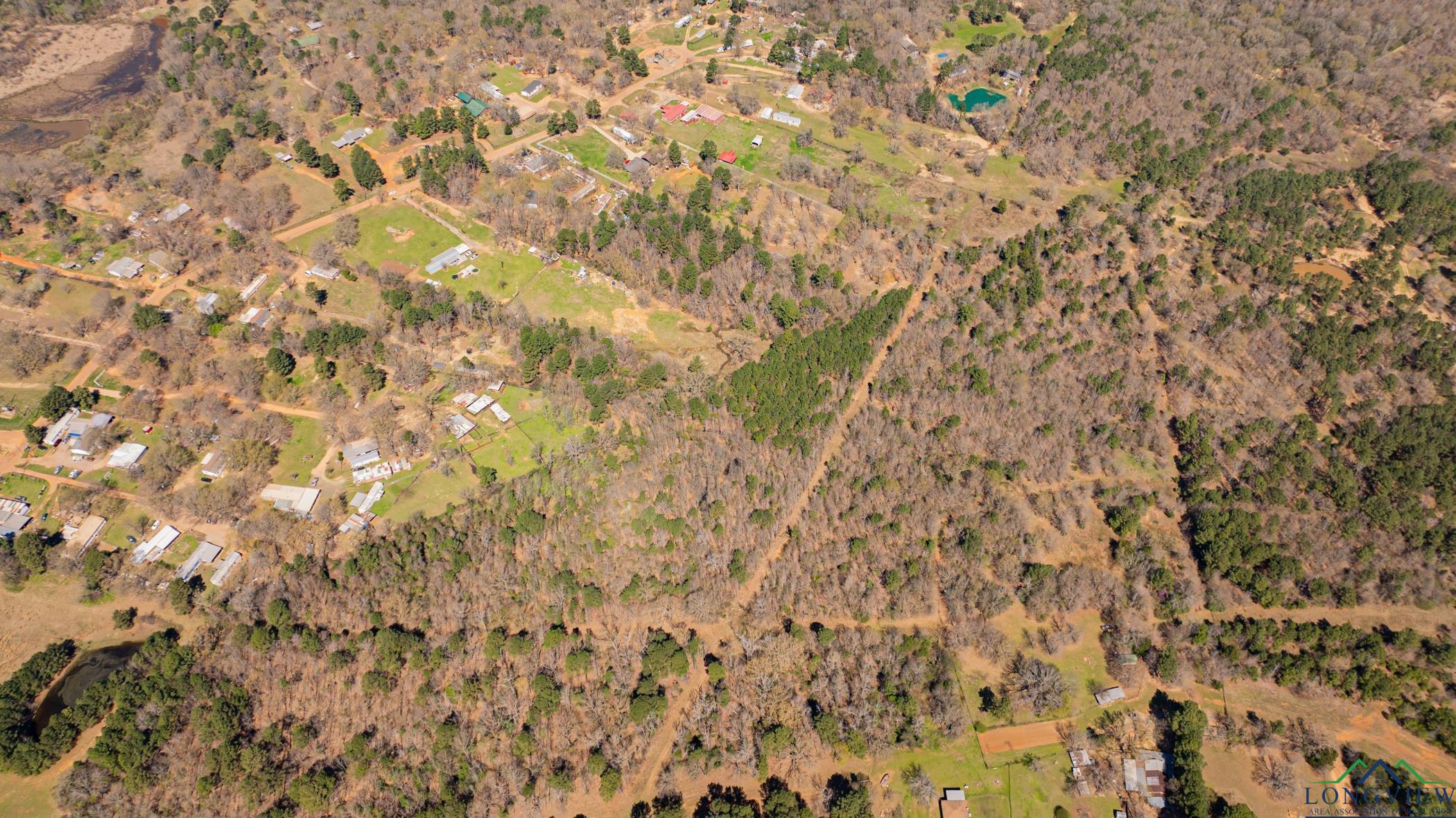 TBD Peavine Rd, Kilgore, Texas image 20