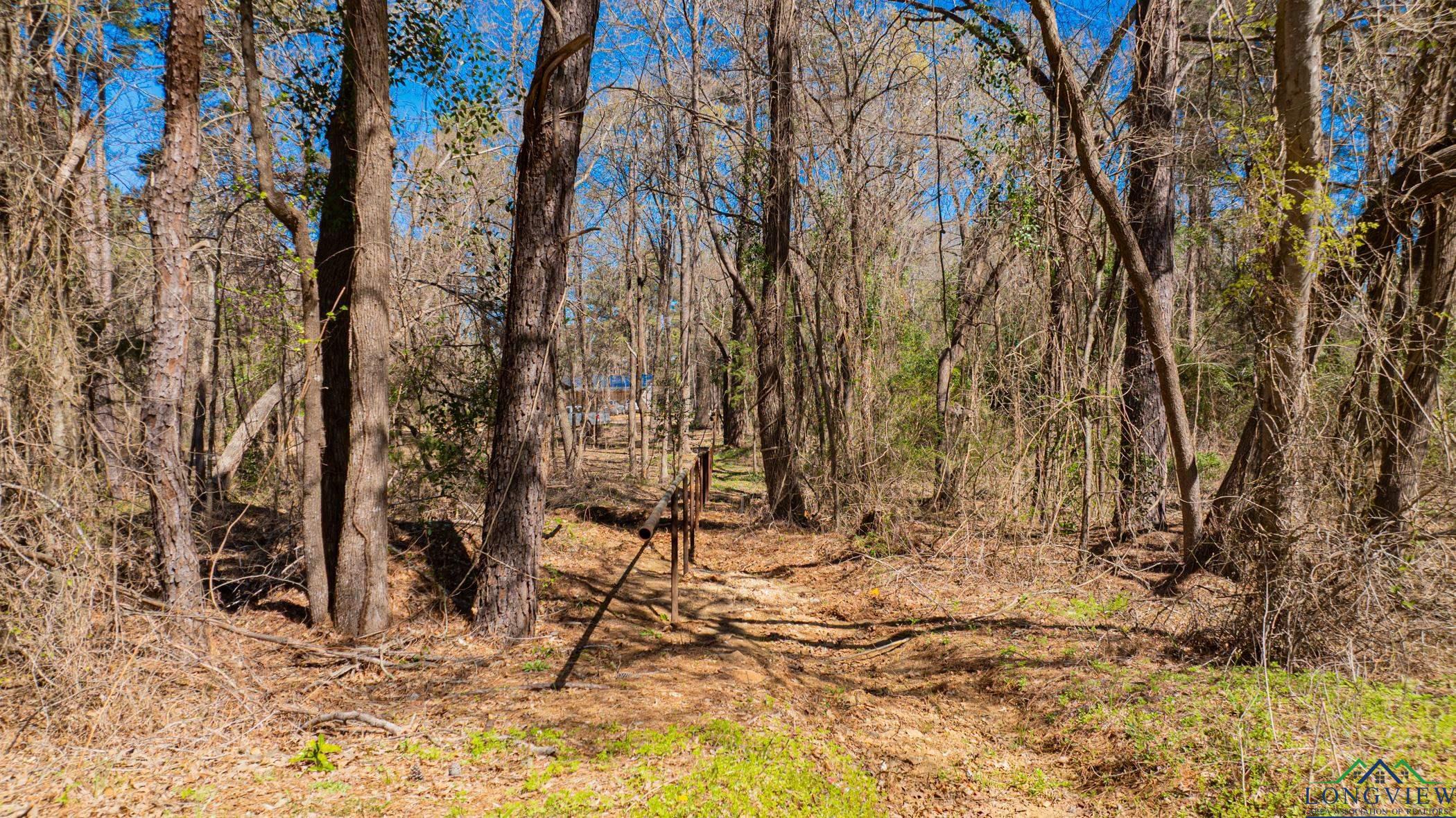 TBD Peavine Rd, Kilgore, Texas image 9
