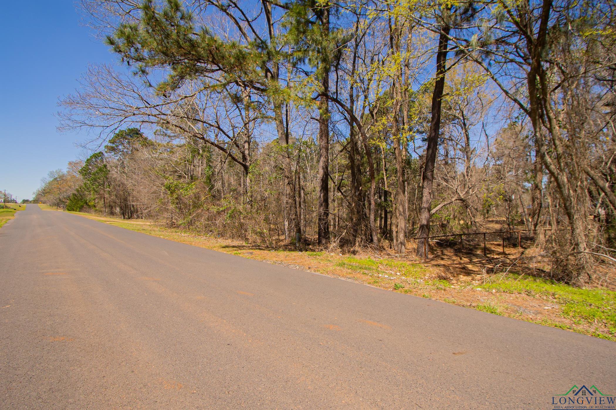 TBD Peavine Rd, Kilgore, Texas image 8