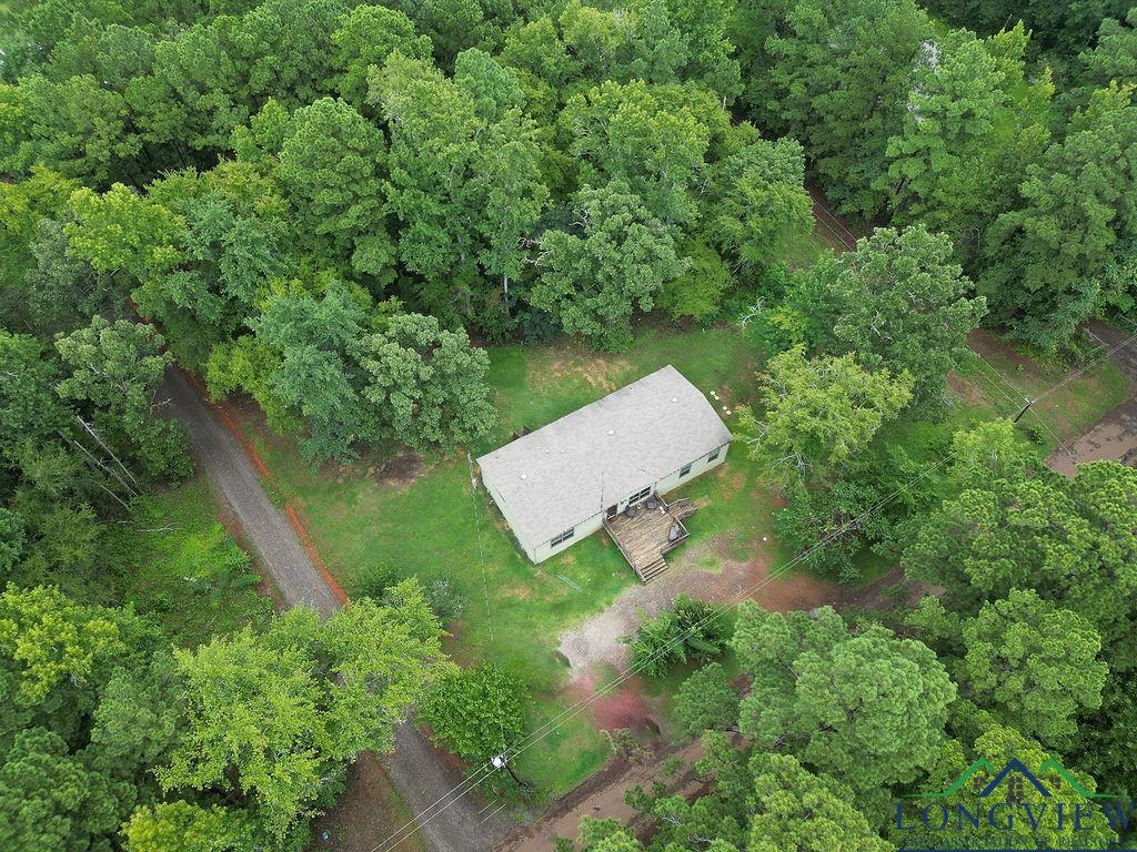 4390 Daffodil Rd, Gilmer, Texas image 27