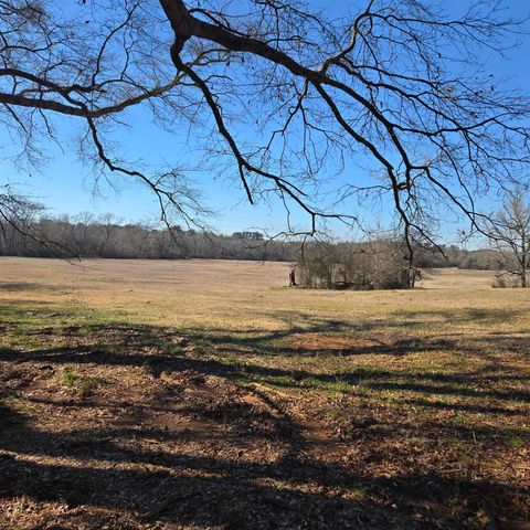 Vacant Land For Sale - TBD C R 1106<br/> Flint, TX 75762