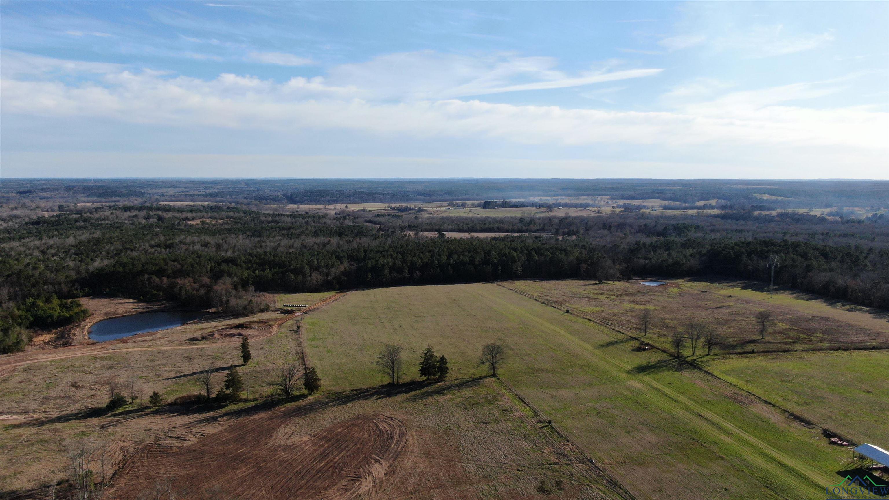 TBD Cr 2993b, Hughes Springs, Texas image 4