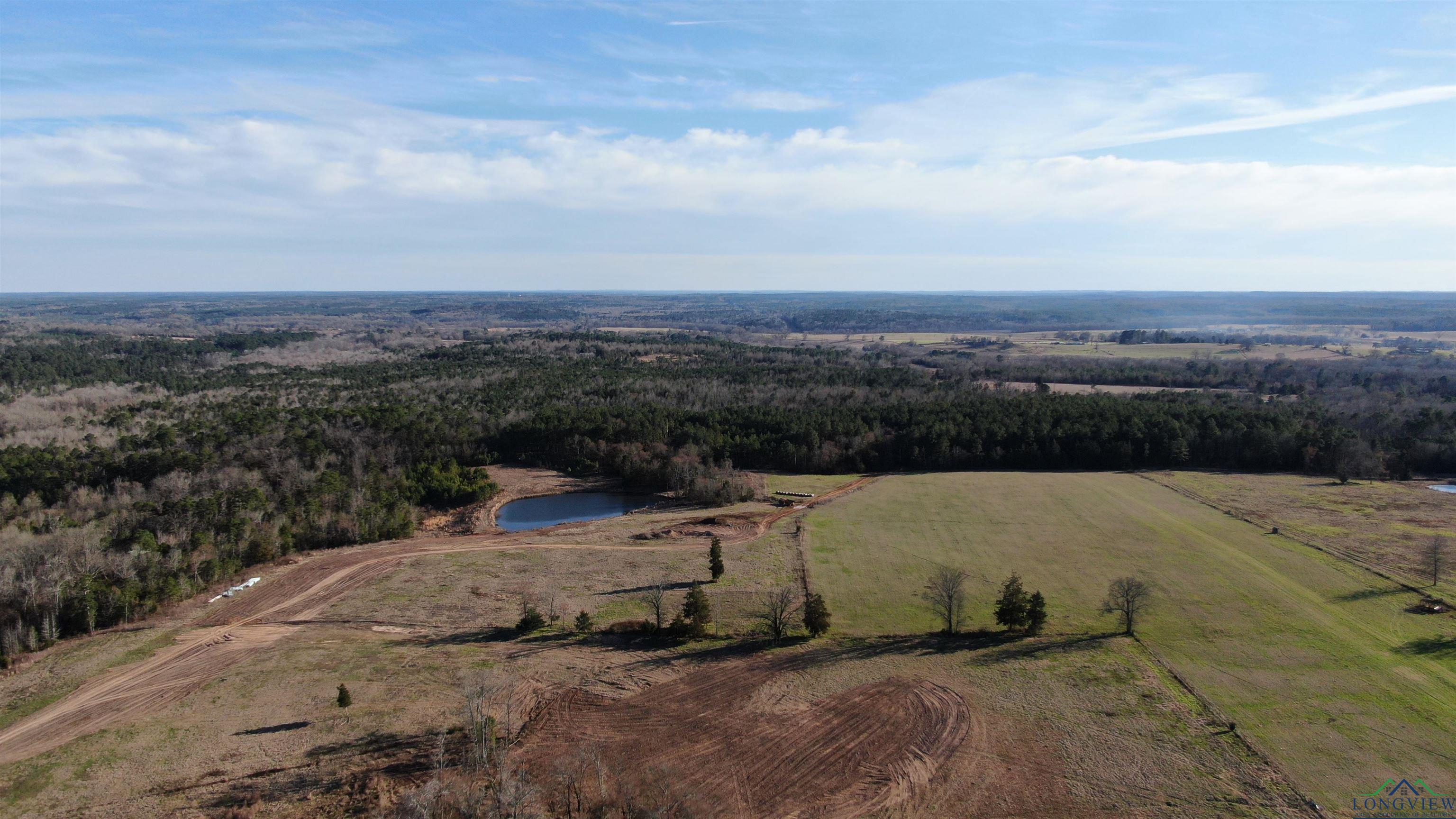 TBD Cr 2993b, Hughes Springs, Texas image 3