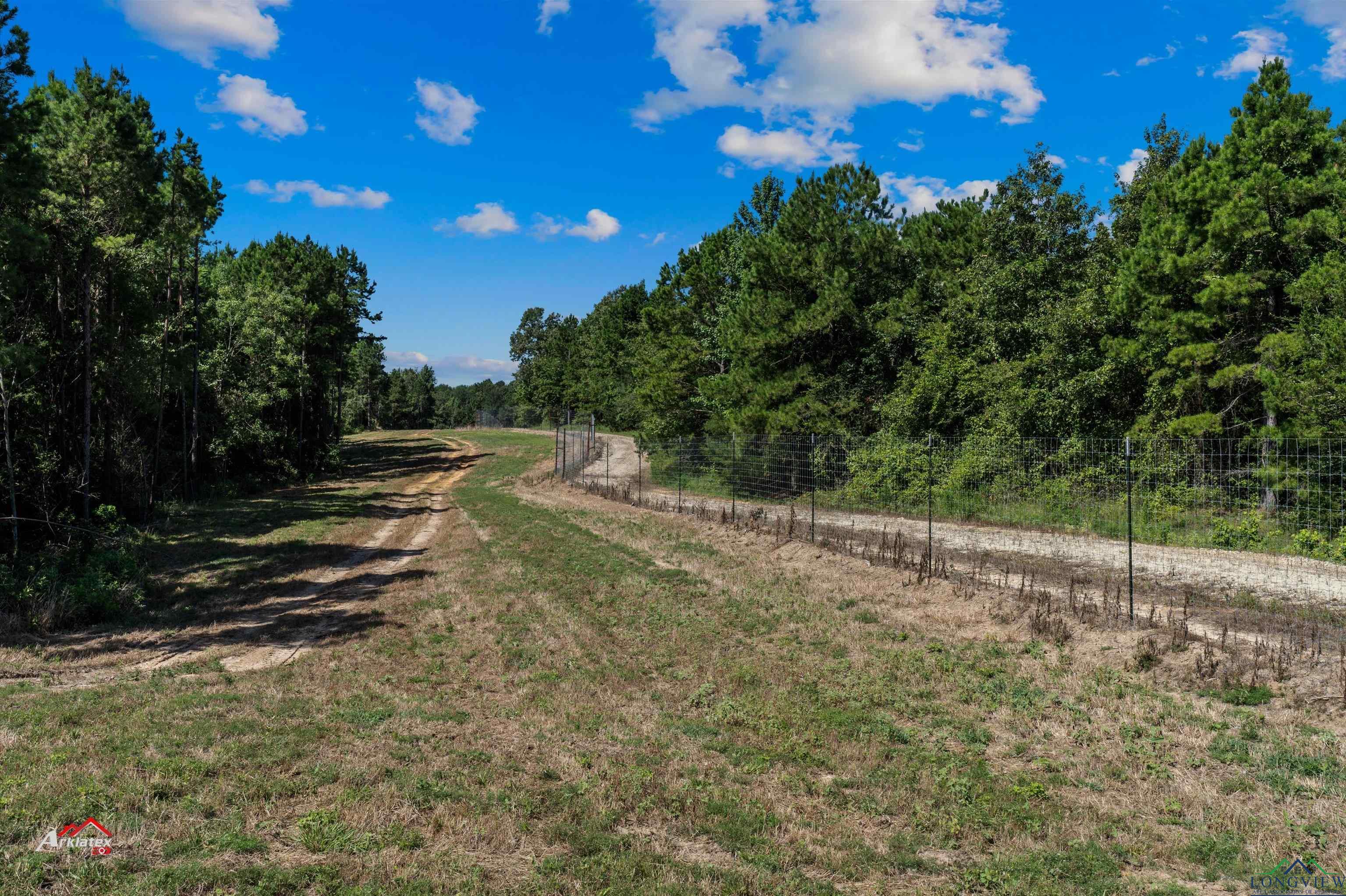 1908 W Fm 1798, Mount Enterprise, Texas image 11