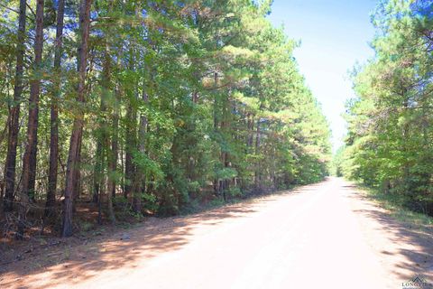 Vacant Land For Sale - TRACT 3 Cr 245 S<br/> Kilgore, TX 75662