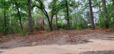 Vacant Land For Sale - TBD Cr 336<br/> Jasper, TX 75951