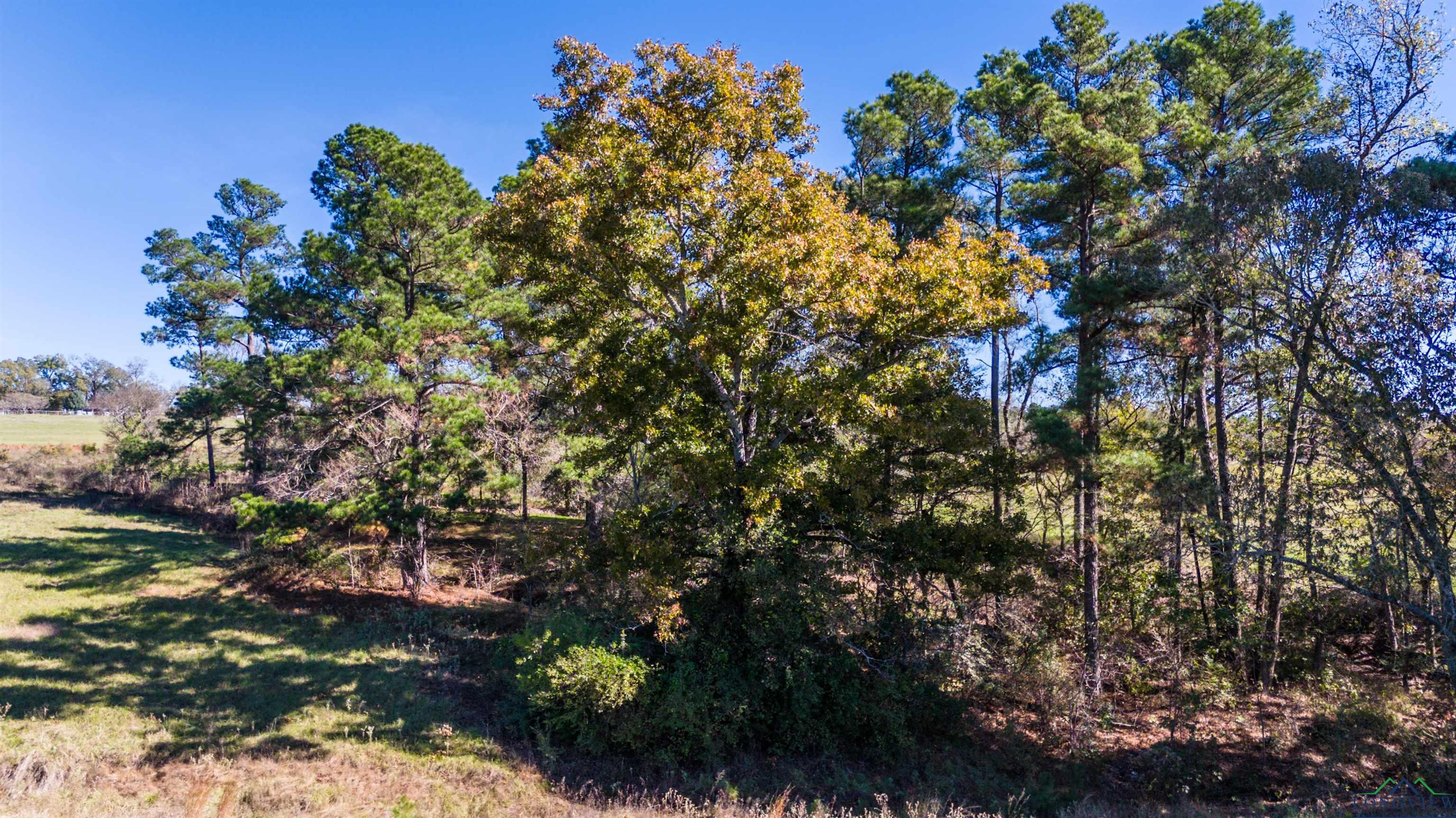 363 Pr 3399, Big Sandy, Texas image 7