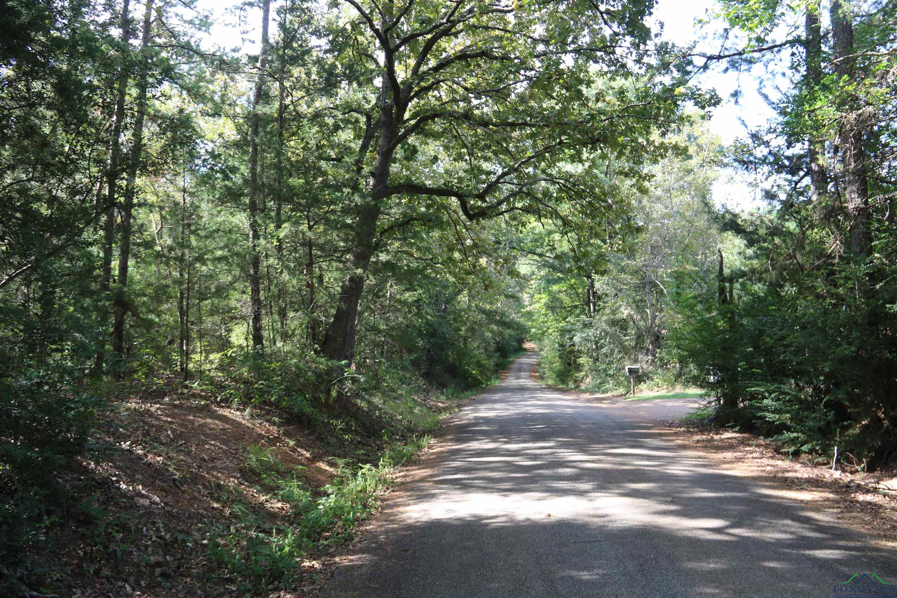 TBD State Hwy 155 & W. Depot Road, Avinger, Texas image 23