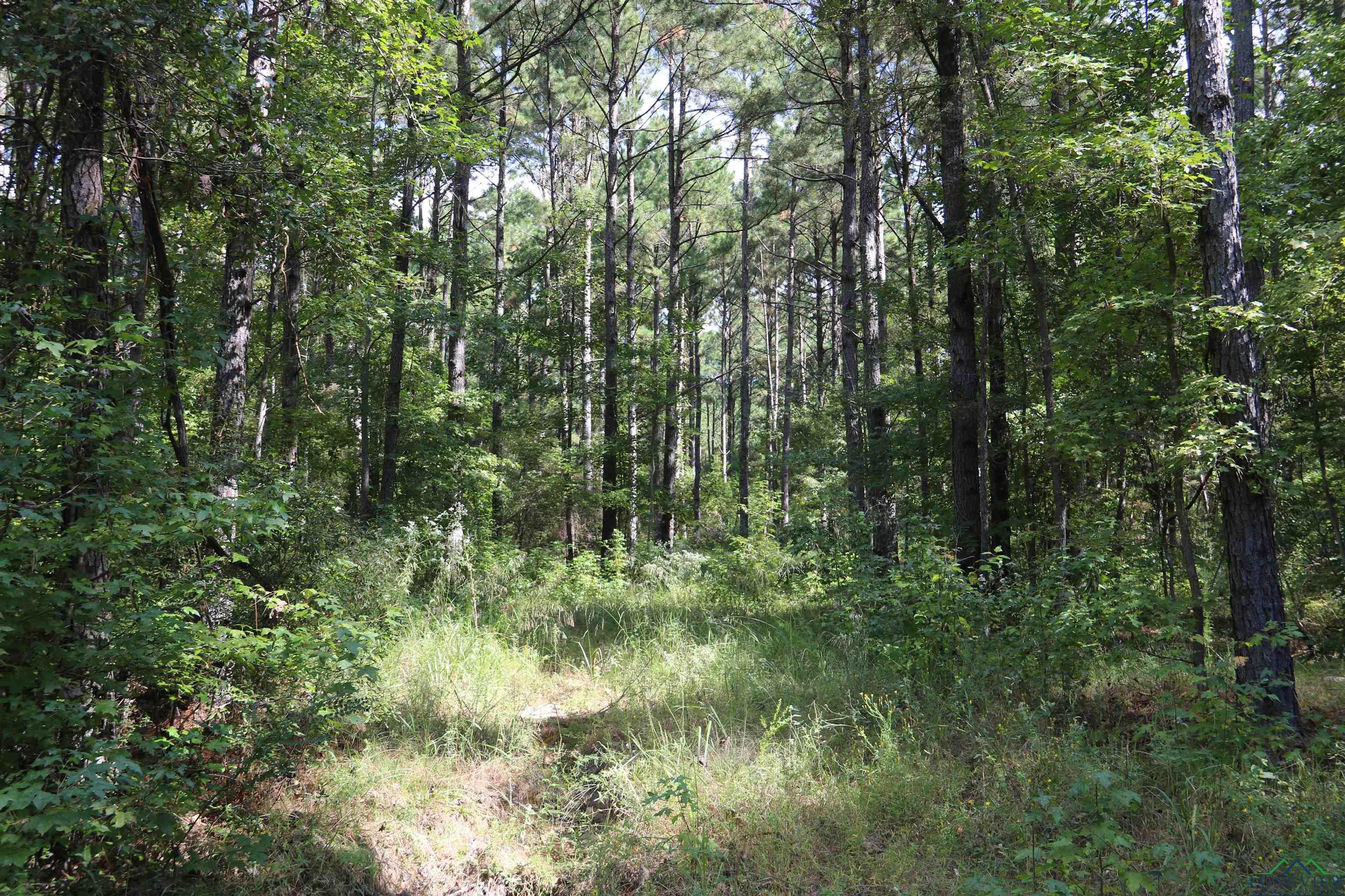 TBD State Hwy 155 & W. Depot Road, Avinger, Texas image 28