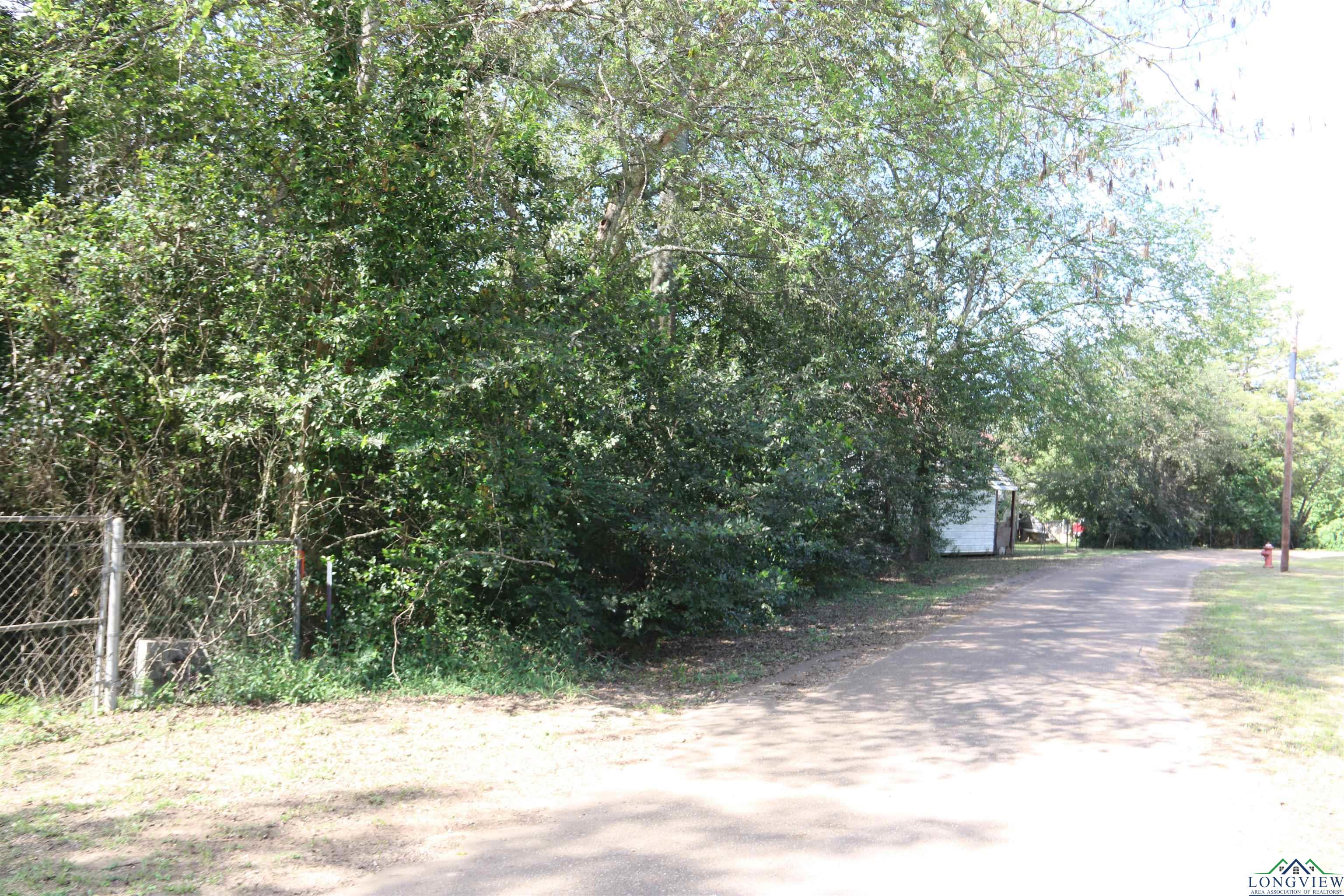 TBD State Hwy 155 & W. Depot Road, Avinger, Texas image 25