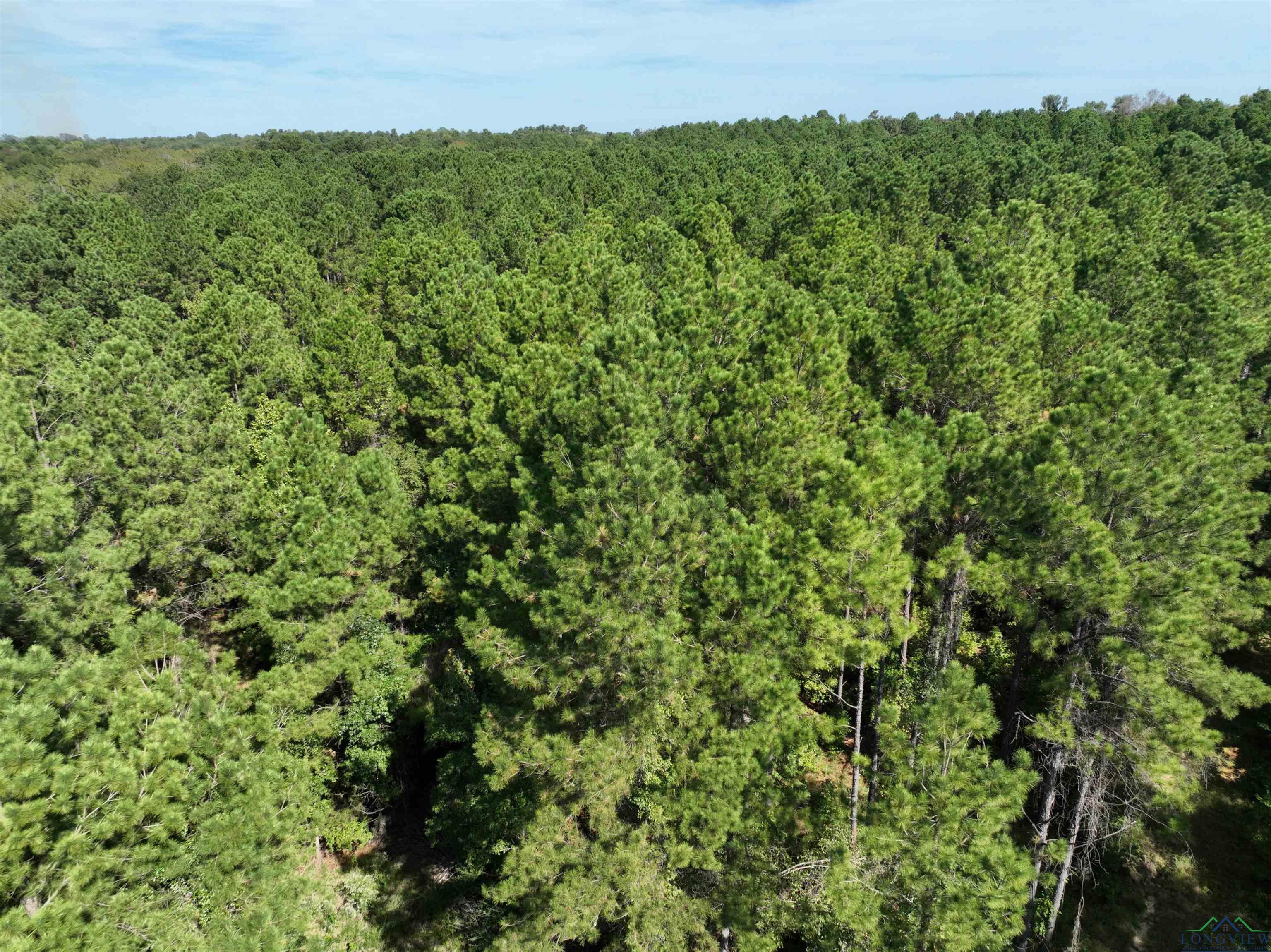 TBD State Hwy 155 & W. Depot Road, Avinger, Texas image 16