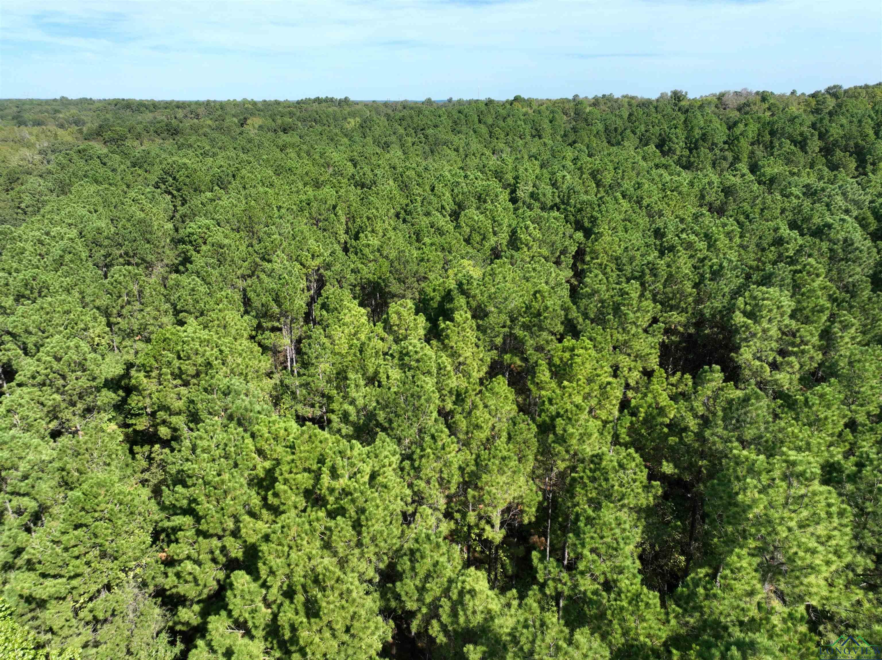 TBD State Hwy 155 & W. Depot Road, Avinger, Texas image 17