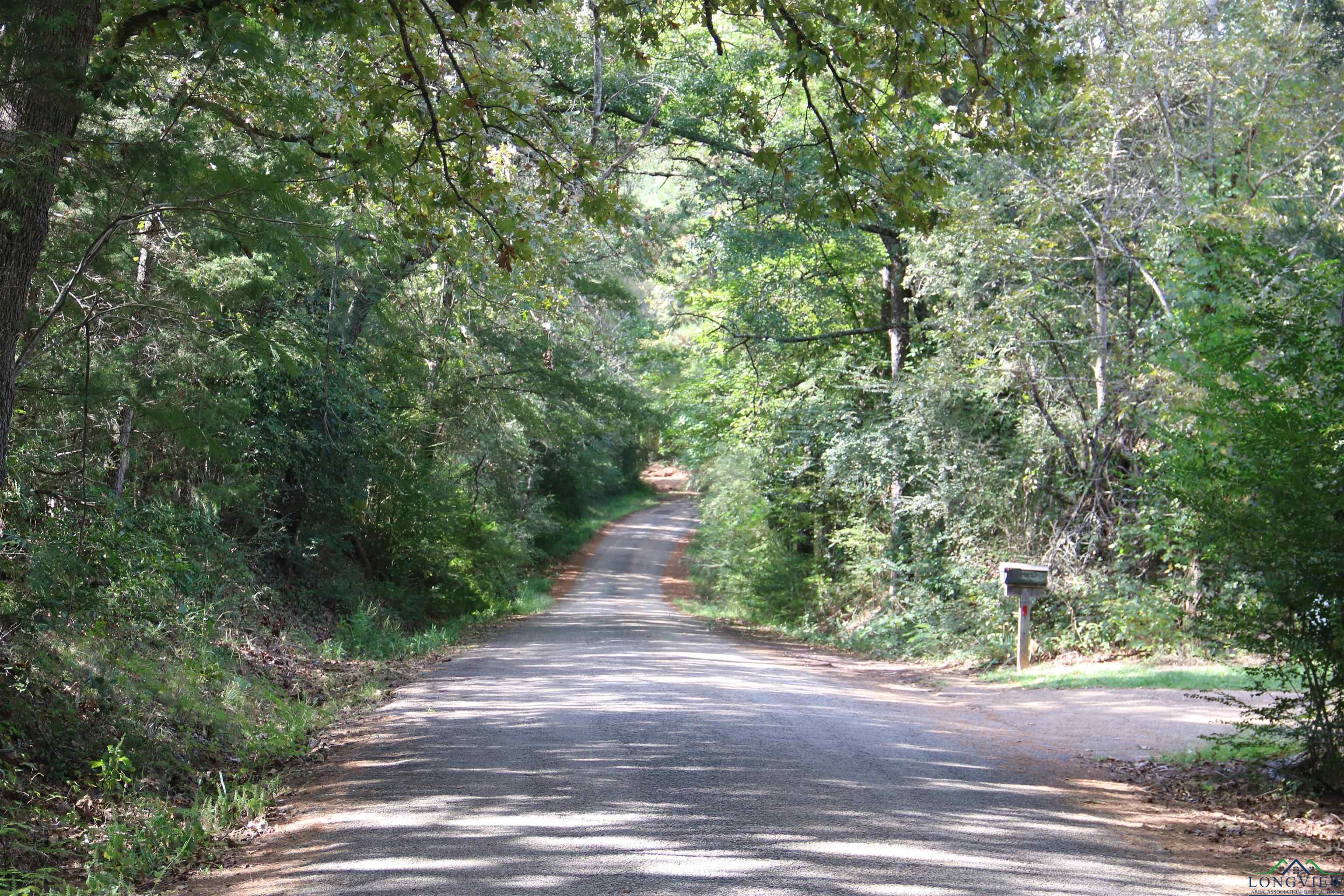 TBD State Hwy 155 & W. Depot Road, Avinger, Texas image 24