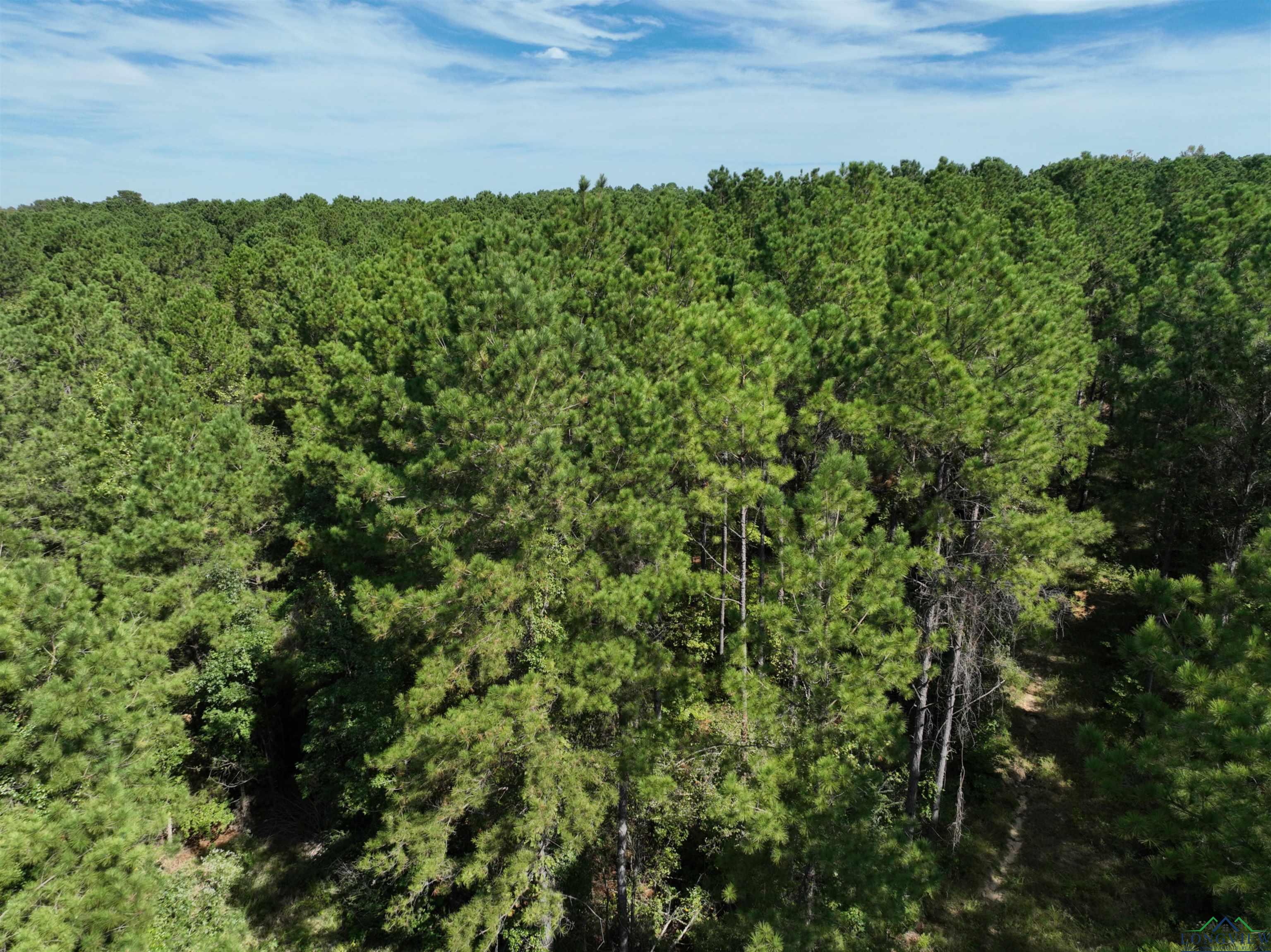 TBD State Hwy 155 & W. Depot Road, Avinger, Texas image 14