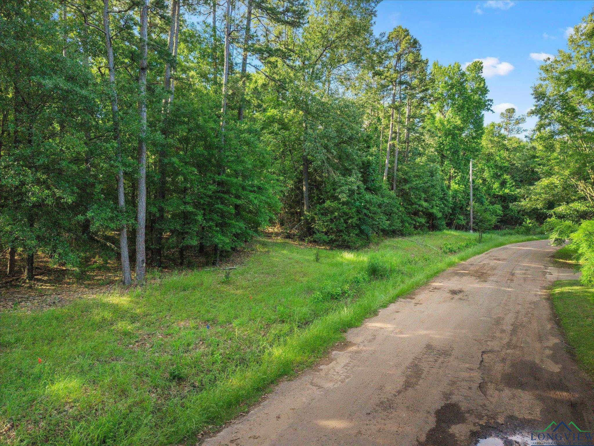 TBD Cr 2430, Pittsburg, Texas image 8