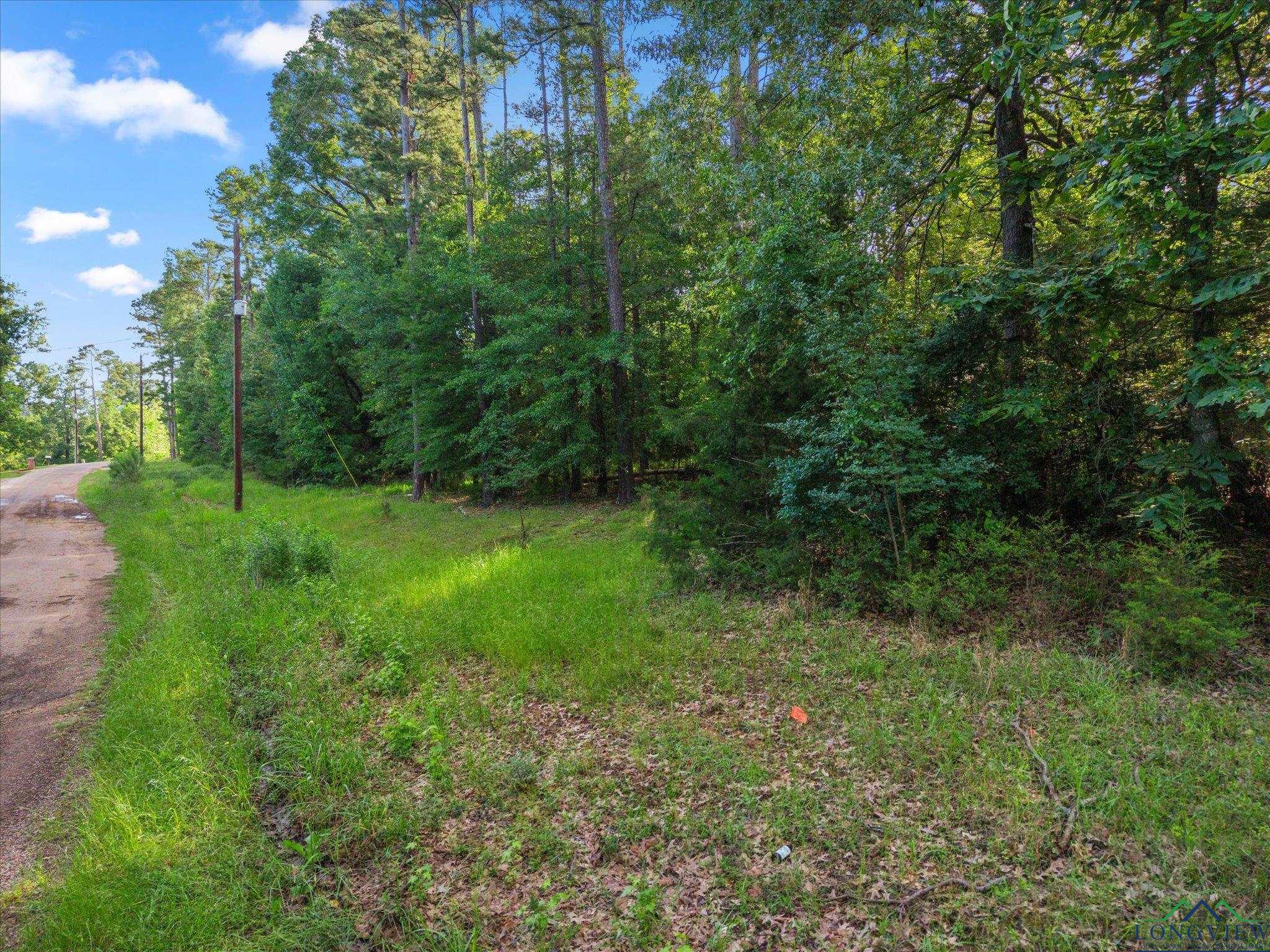 TBD Cr 2430, Pittsburg, Texas image 6