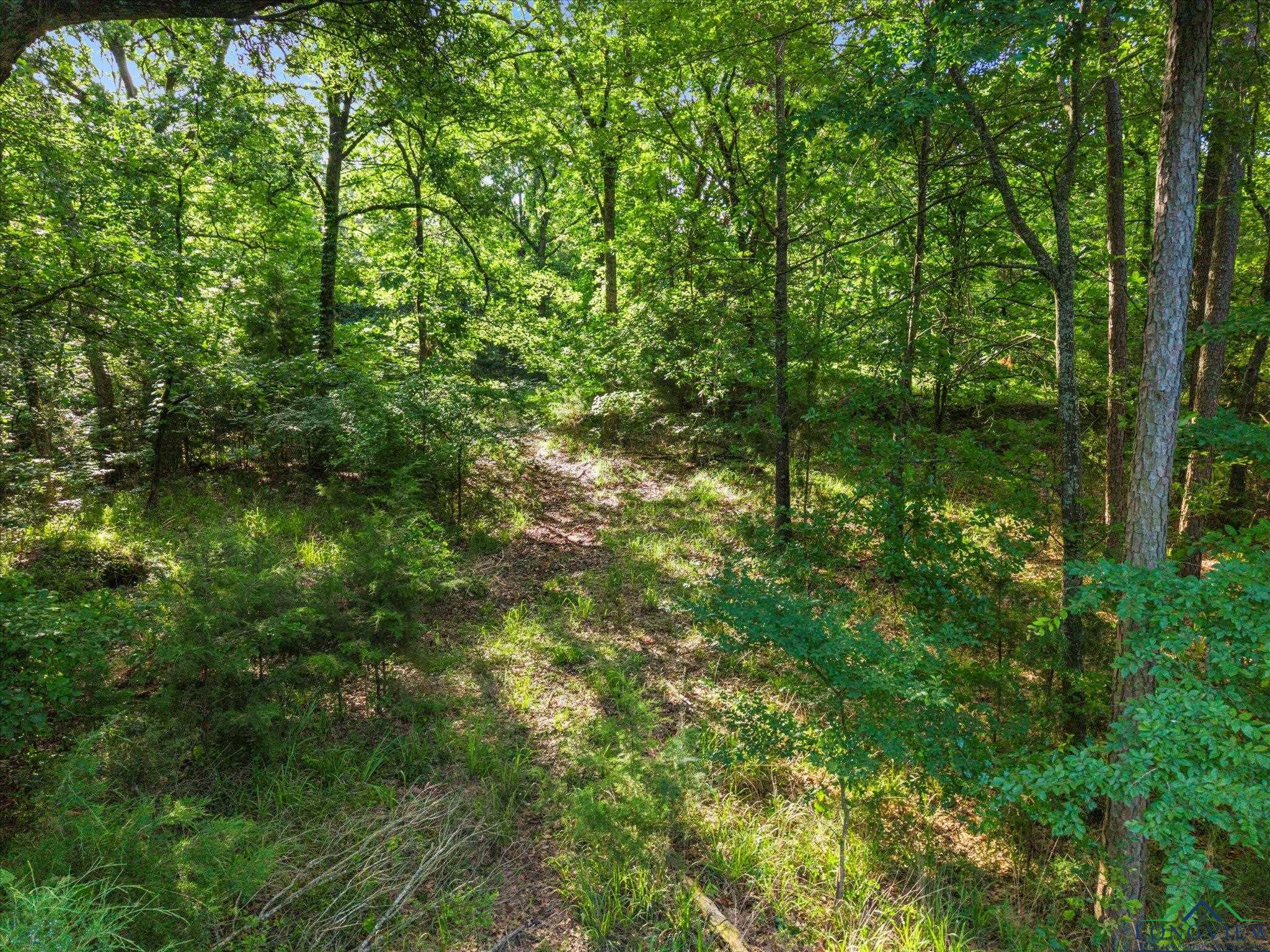 TBD Cr 2430, Pittsburg, Texas image 9