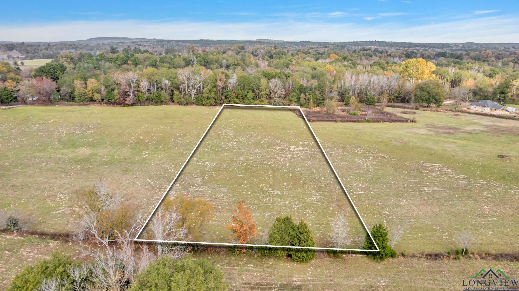 TBD Bob O Link Rd, Gilmer, Texas image 1