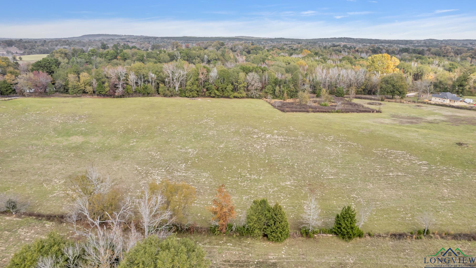 TBD Bob O Link Rd, Gilmer, Texas image 3