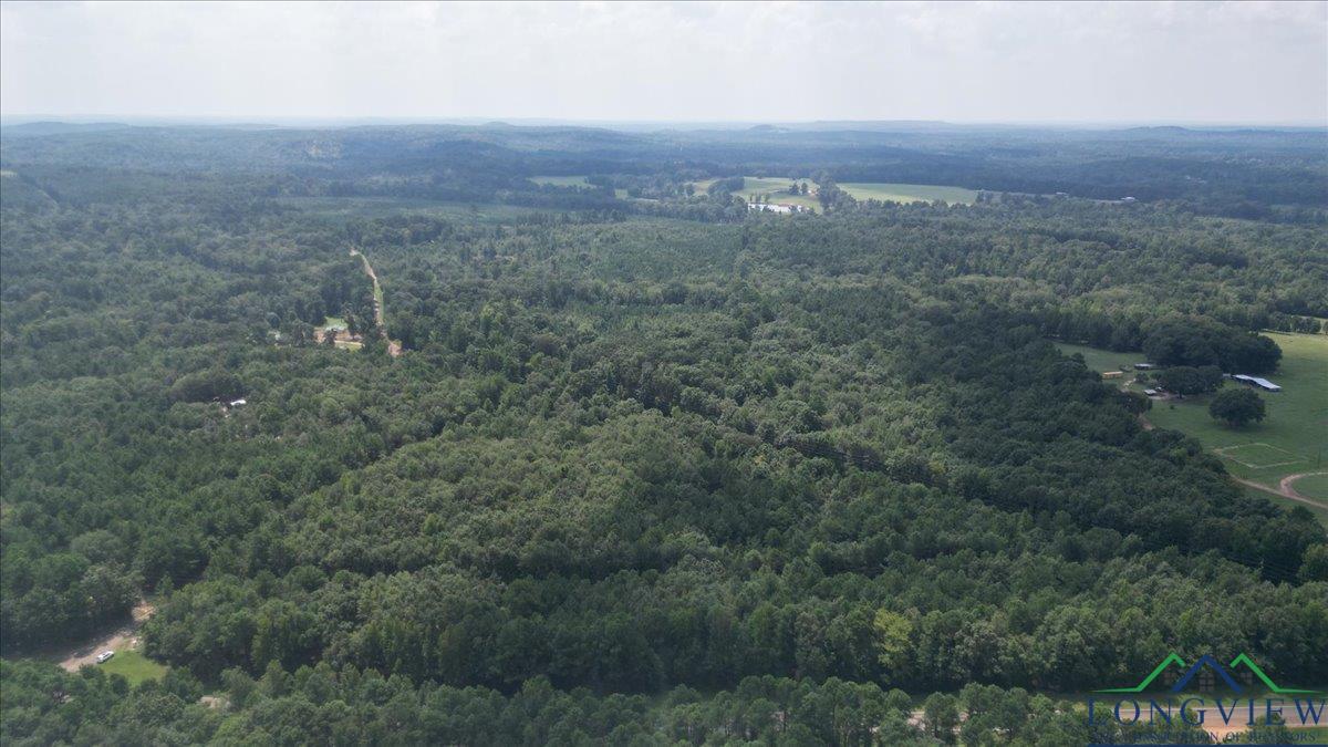 TBD Fm 2796, Gilmer, Texas image 6