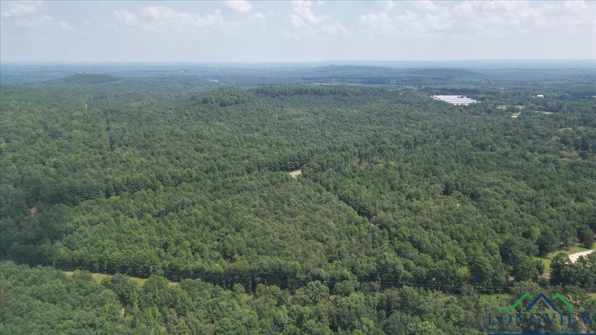 TBD Fm 2796, Gilmer, Texas image 8