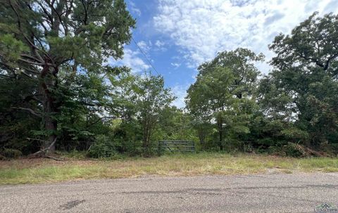 Vacant Land For Sale - 972 Simmons Rd<br/> Harrison County, Harleton, TX 75651