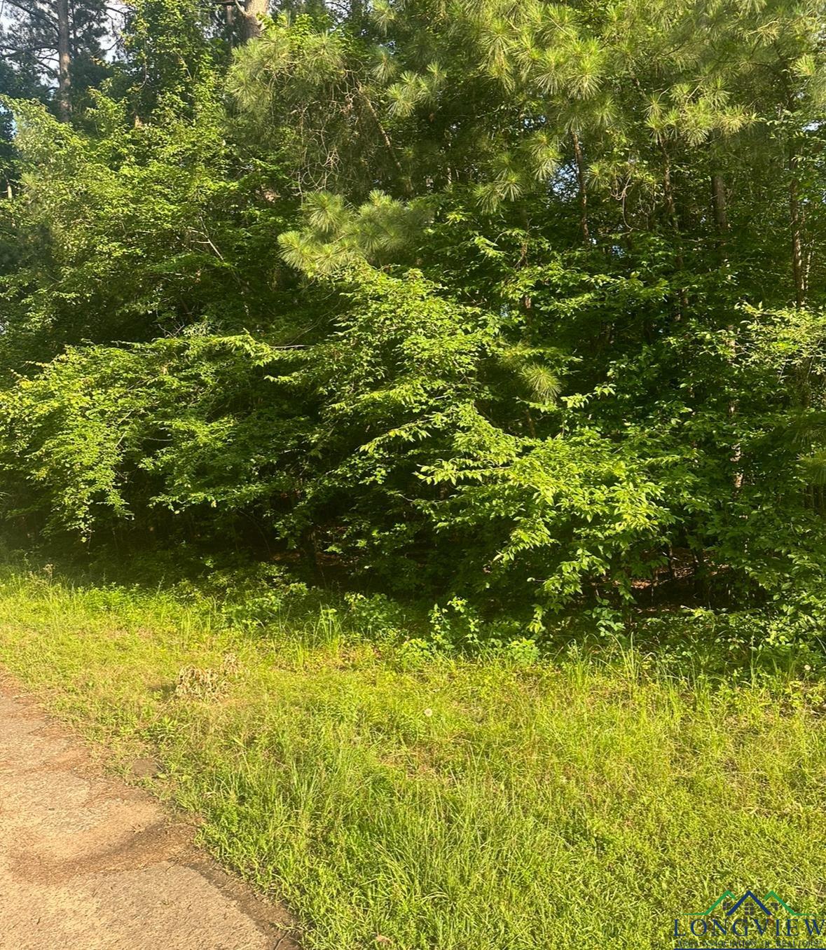 Lot 174 Oakwood, Gilmer, Texas image 3