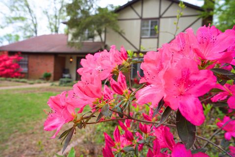 A home in Longview