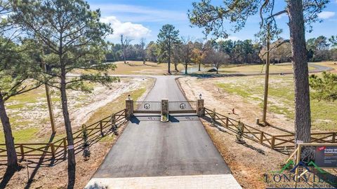 Vacant Land For Sale - LOT 1 Cedarwoods Dr<br/> Diana, TX 75640
