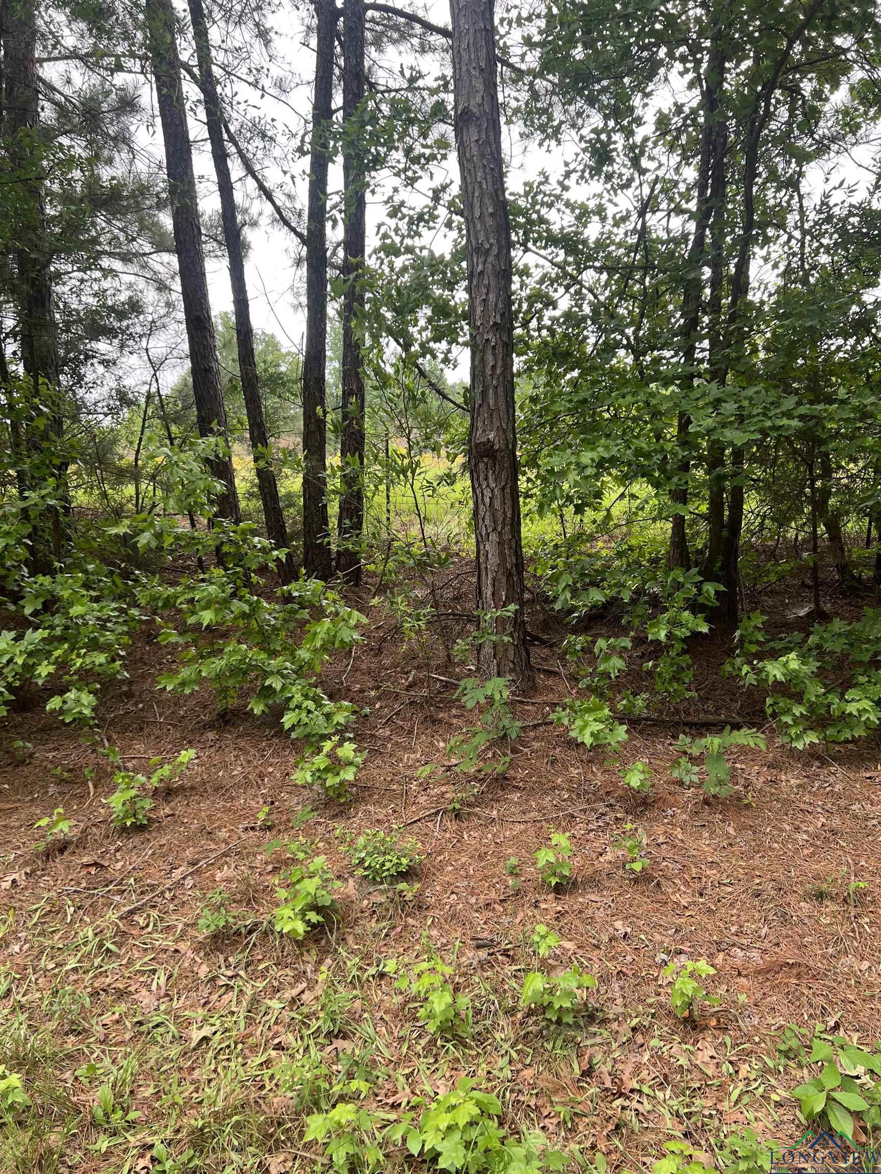 TBD Cr 4610, Troup, Texas image 3