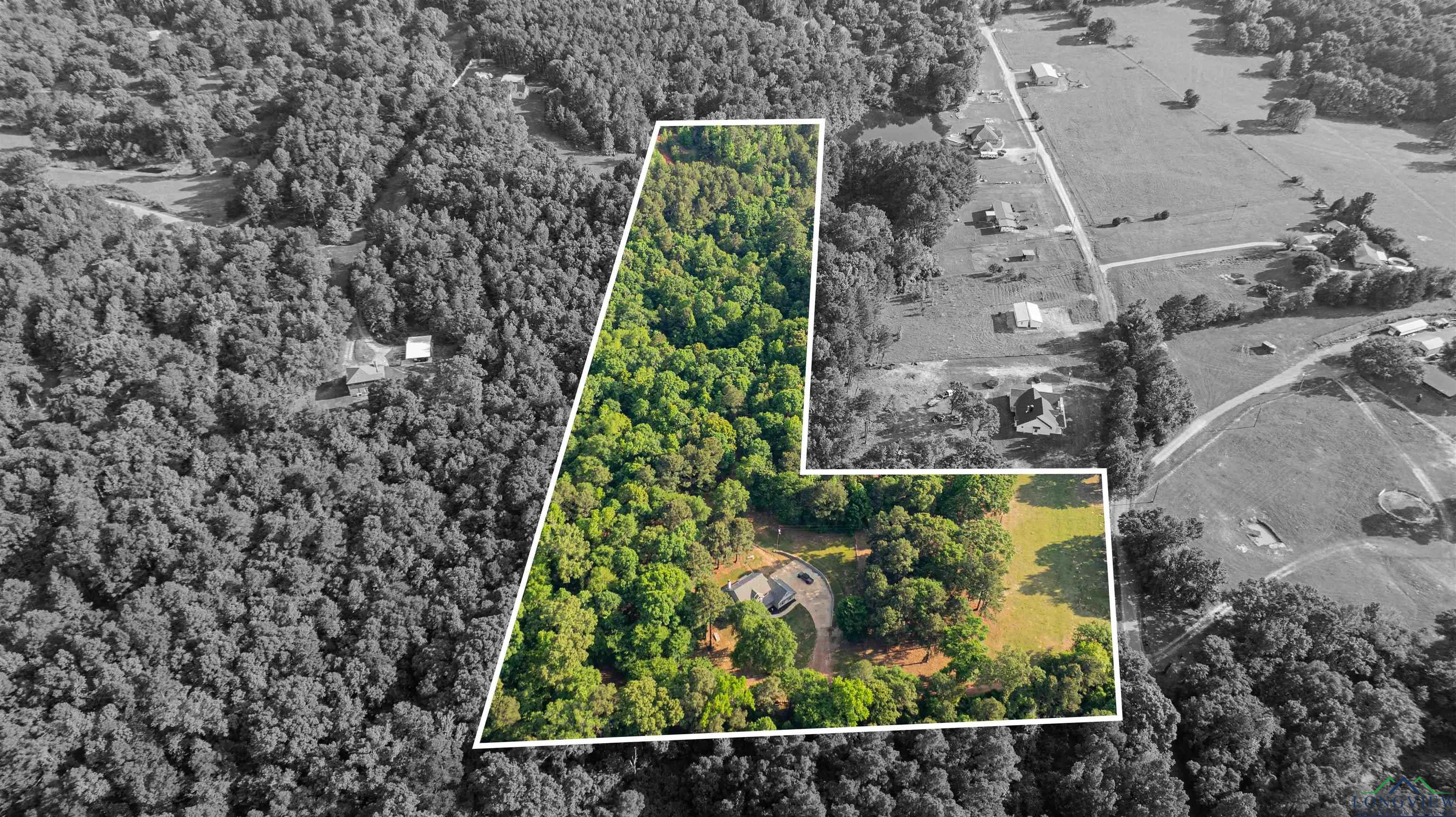 827 Collins Rd, Hallsville, Texas image 30