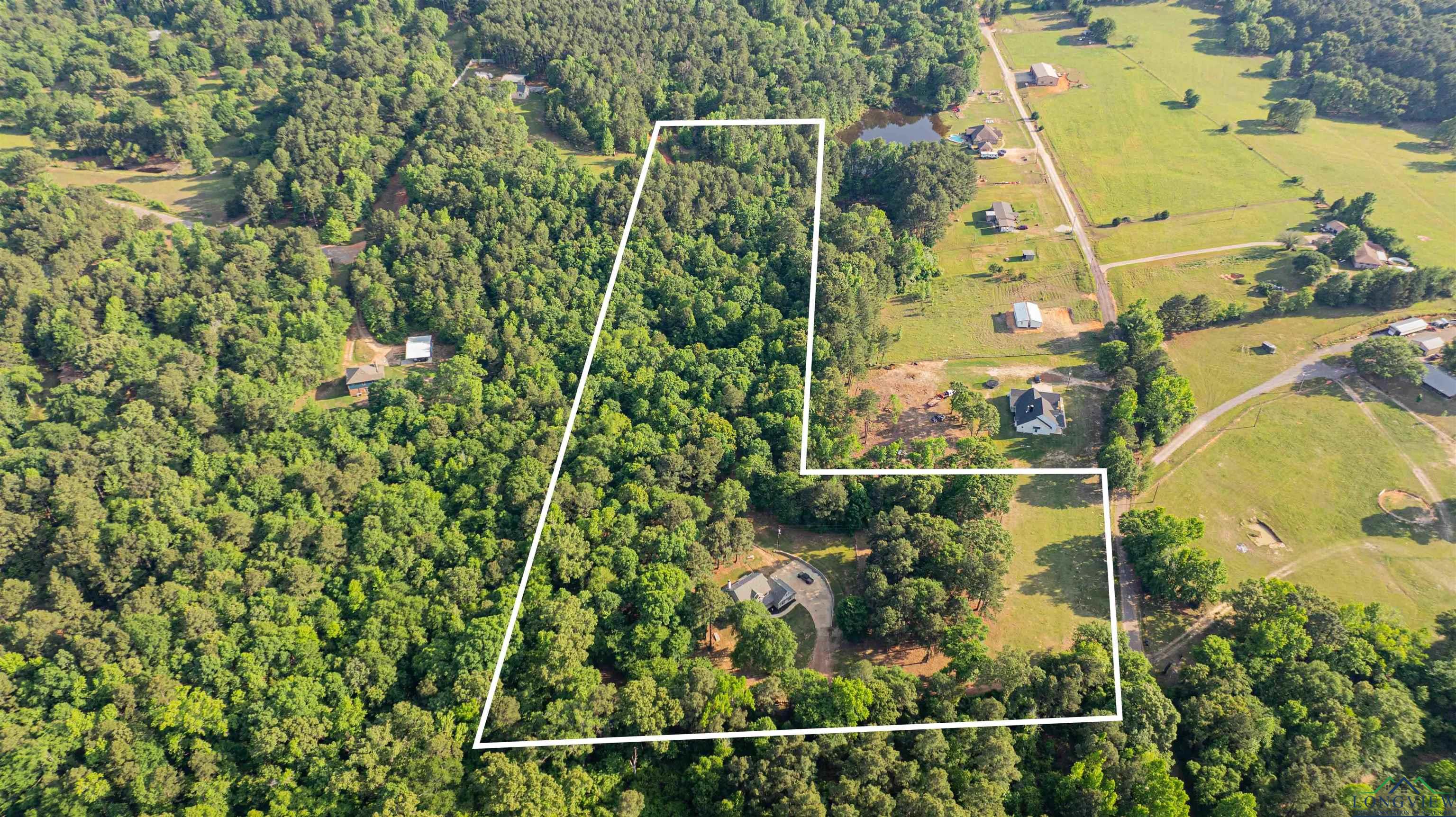 827 Collins Rd, Hallsville, Texas image 29
