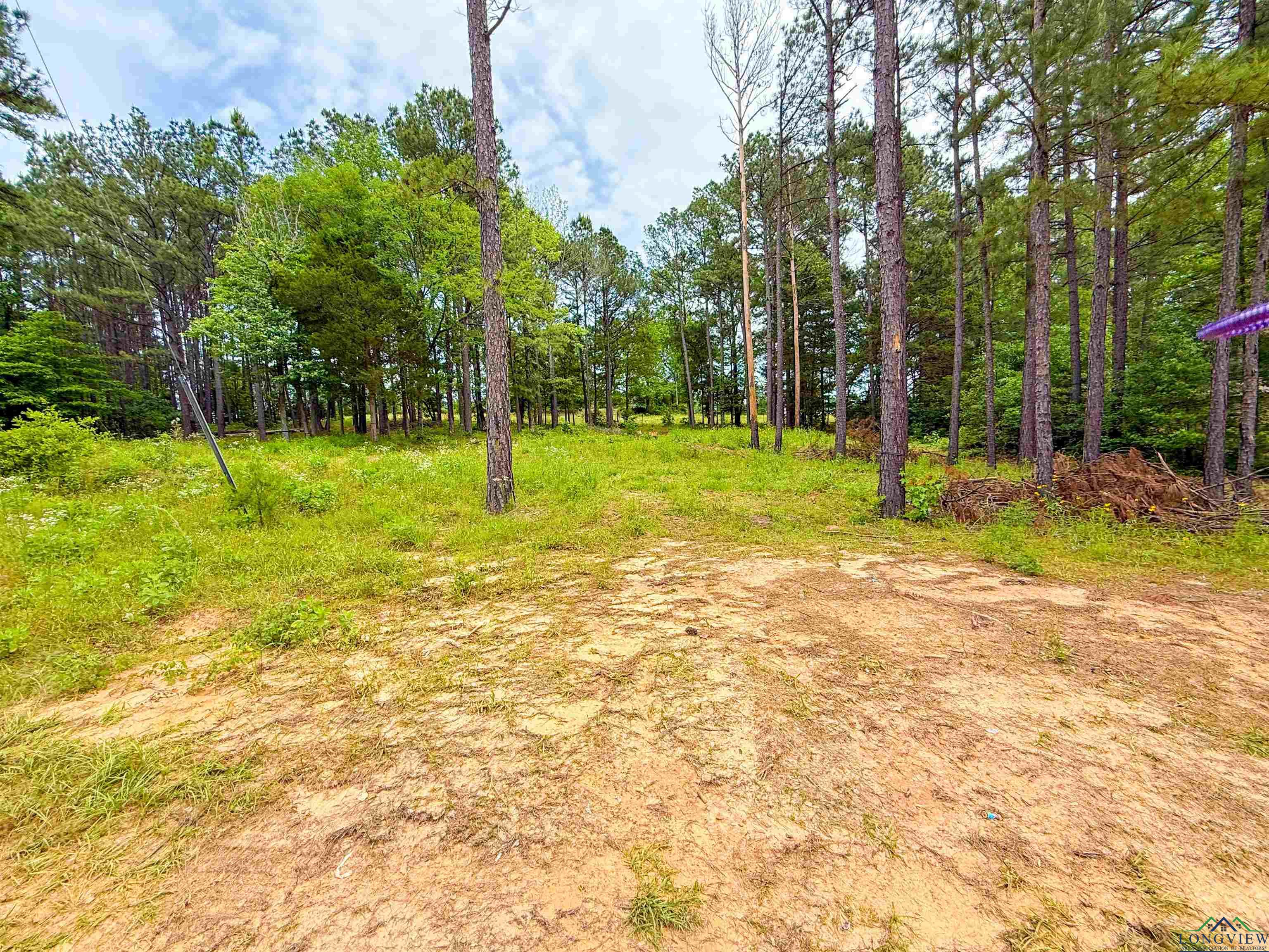 Tbd Cr 128, Overton, Texas image 1