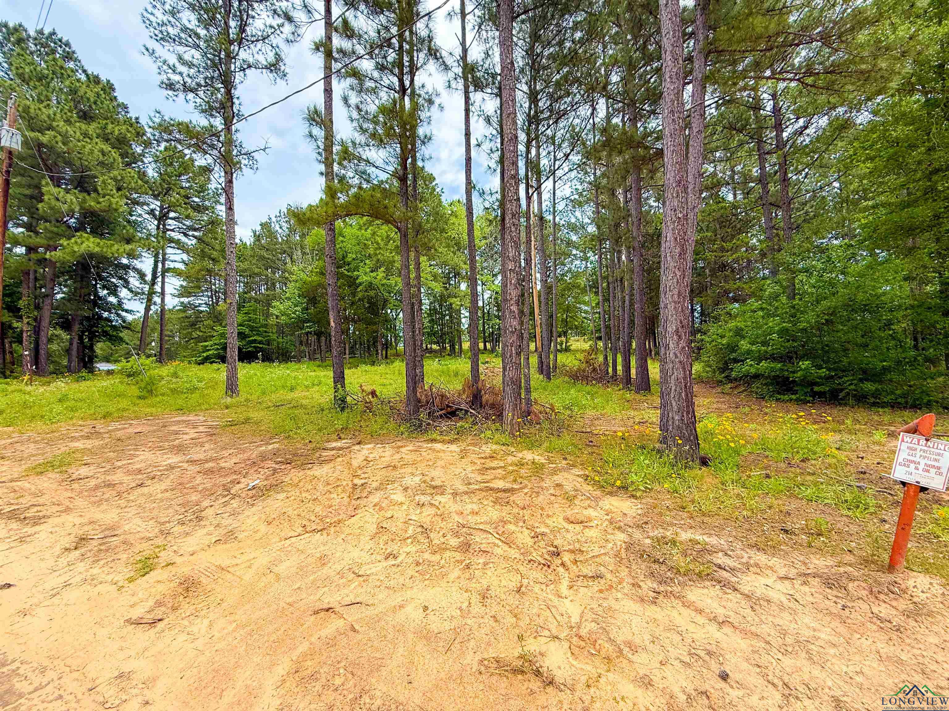Tbd Cr 128, Overton, Texas image 2
